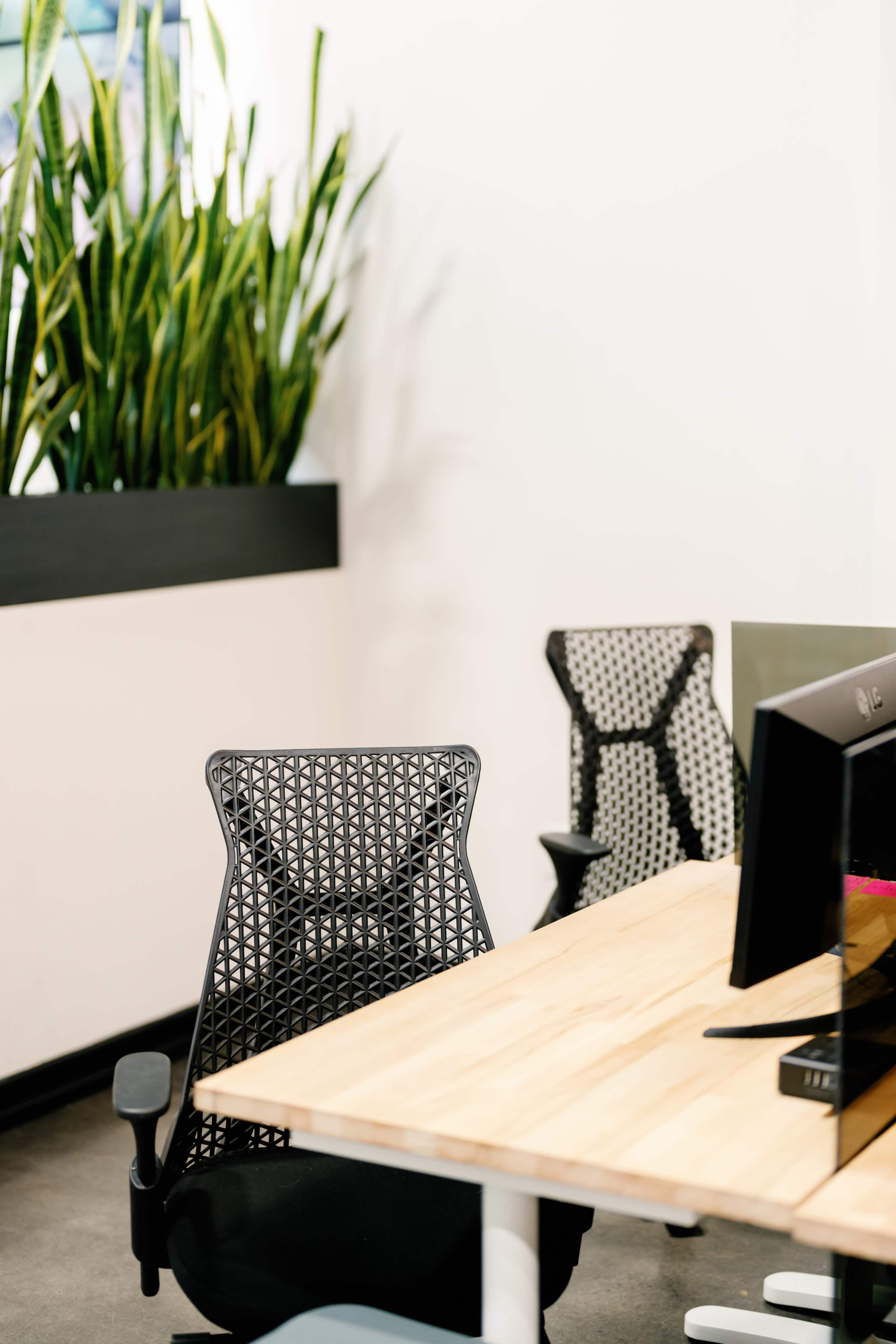An office space featuring a wooden desk, a computer monitor, and ergonomic chairs, with tall plants placed in a planter along the wall.