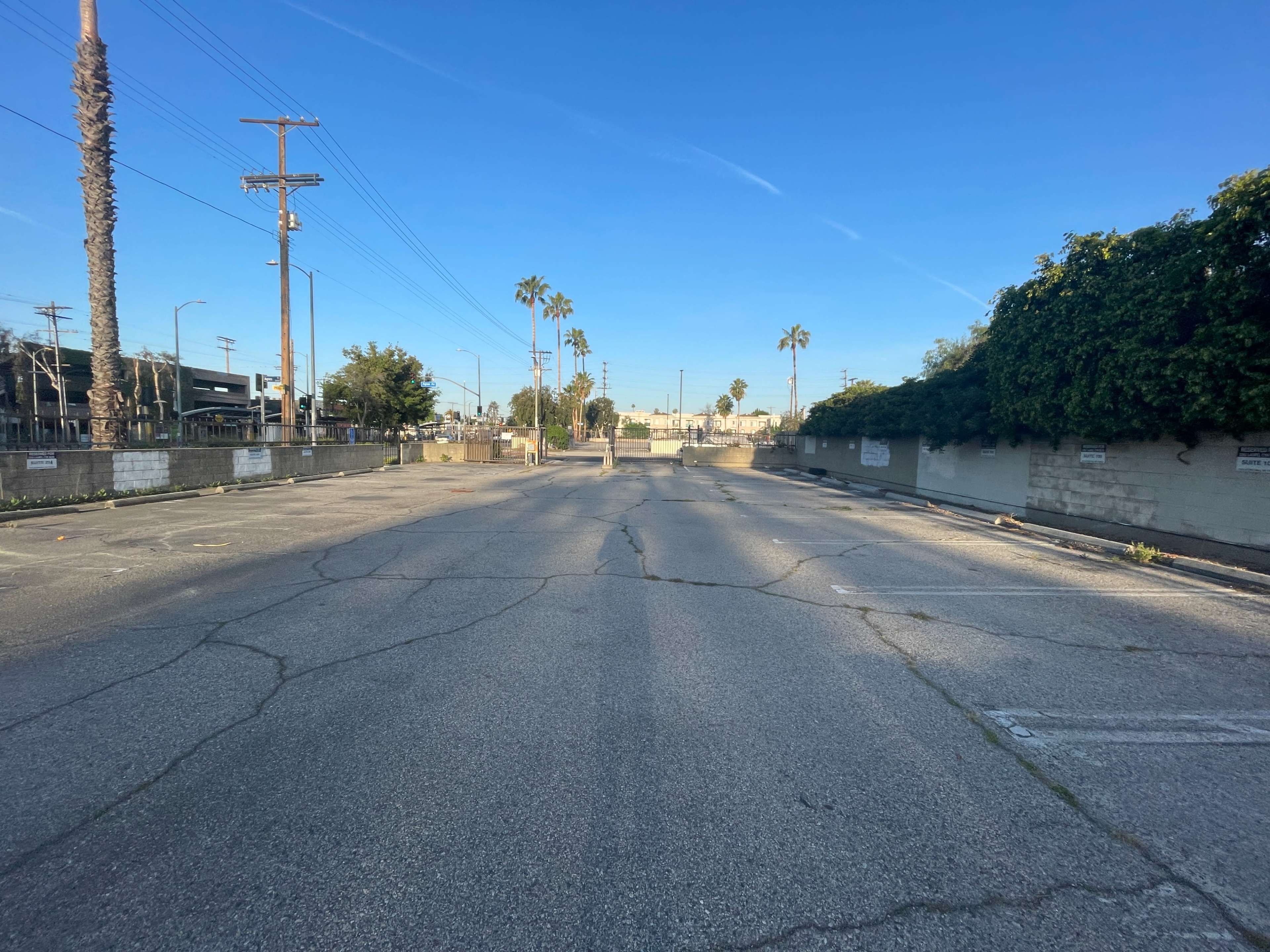The image shows a desolate, cracked roadway lined with palm trees under a clear blue sky.