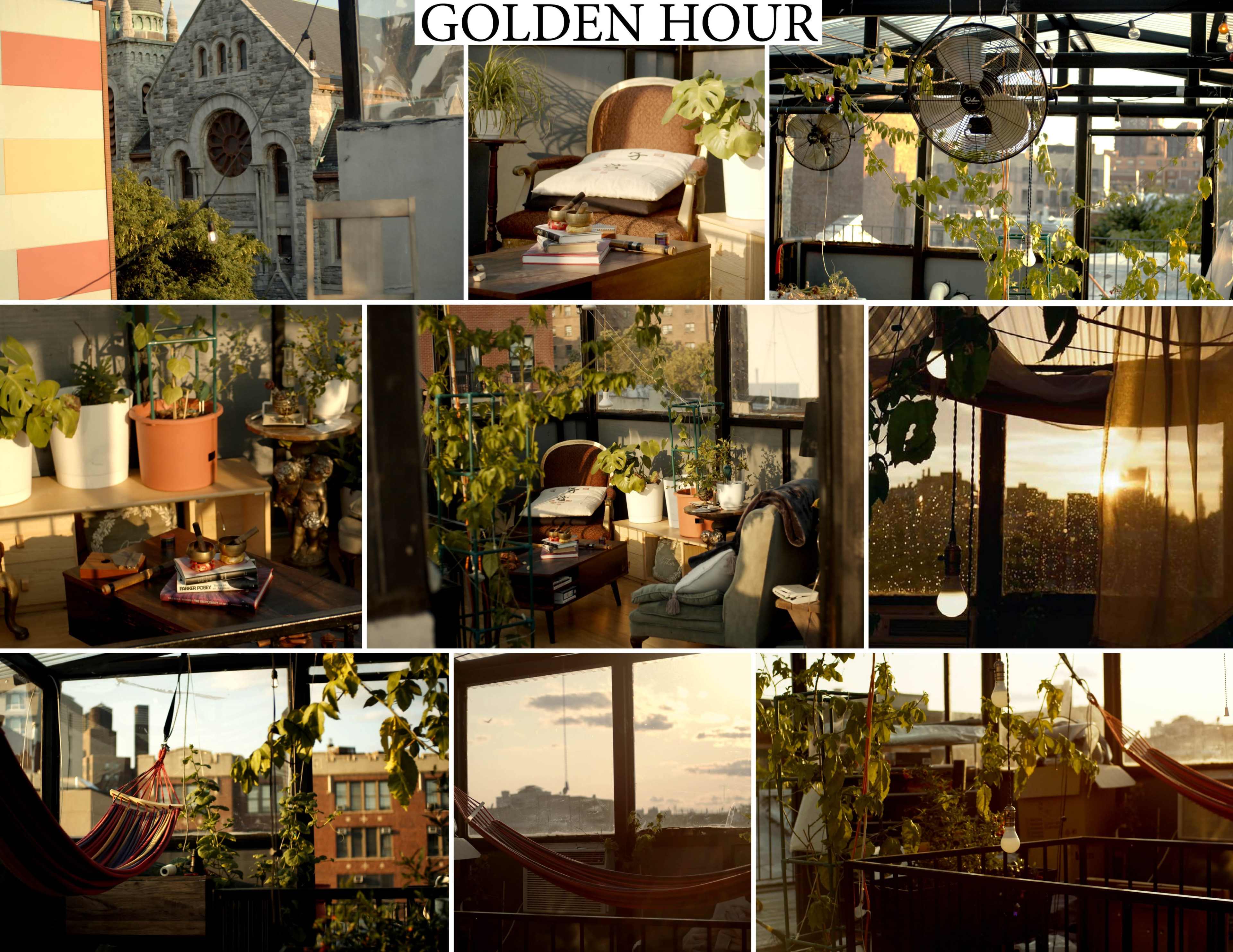 A montage of a cozy indoor space filled with plants, furniture, and sunlight during the golden hour, highlighting various views and arrangements.