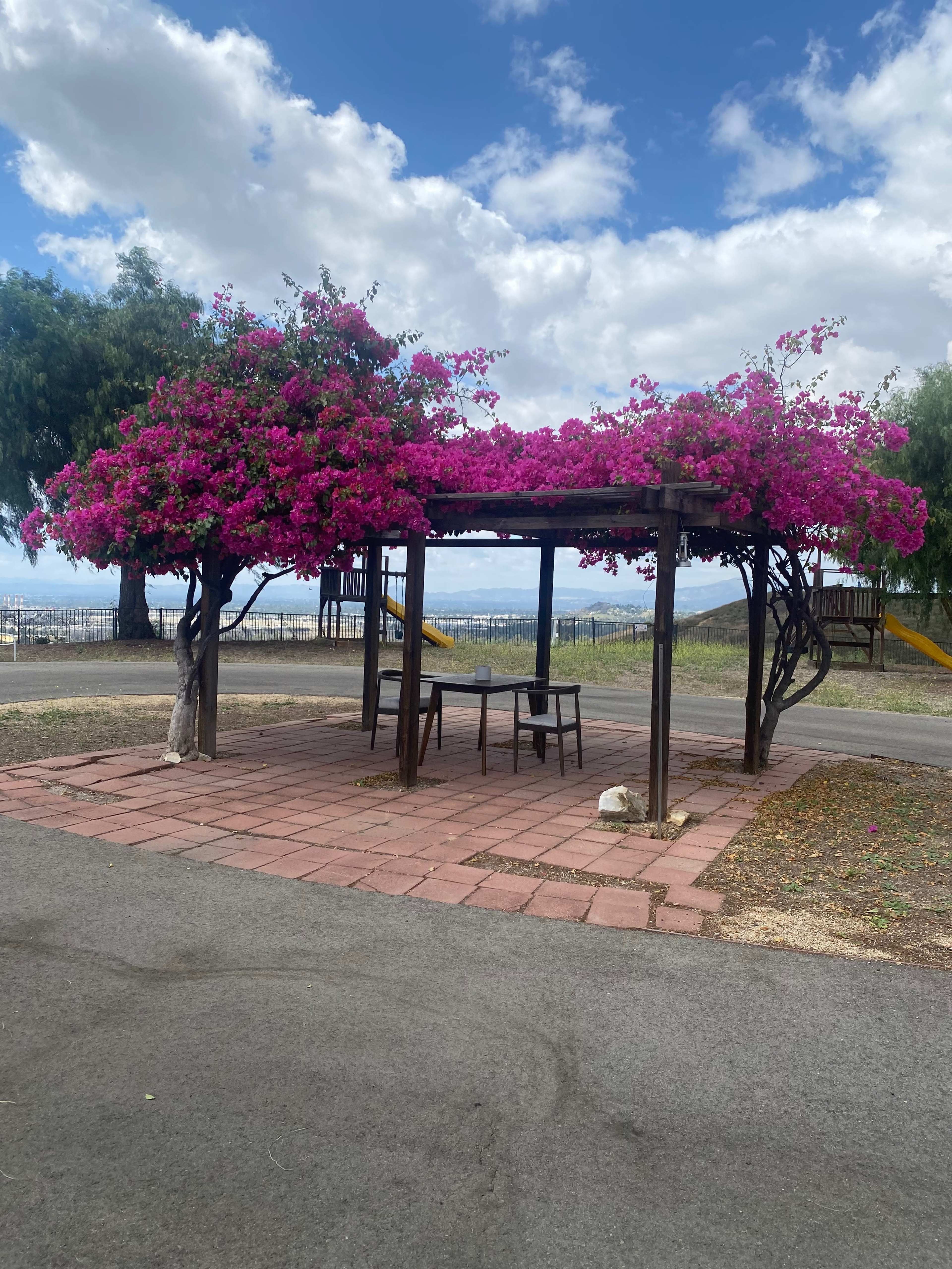 A wooden gazebo adorned with vibrant pink bougainvillea flowers stands on a paved area near a playground.