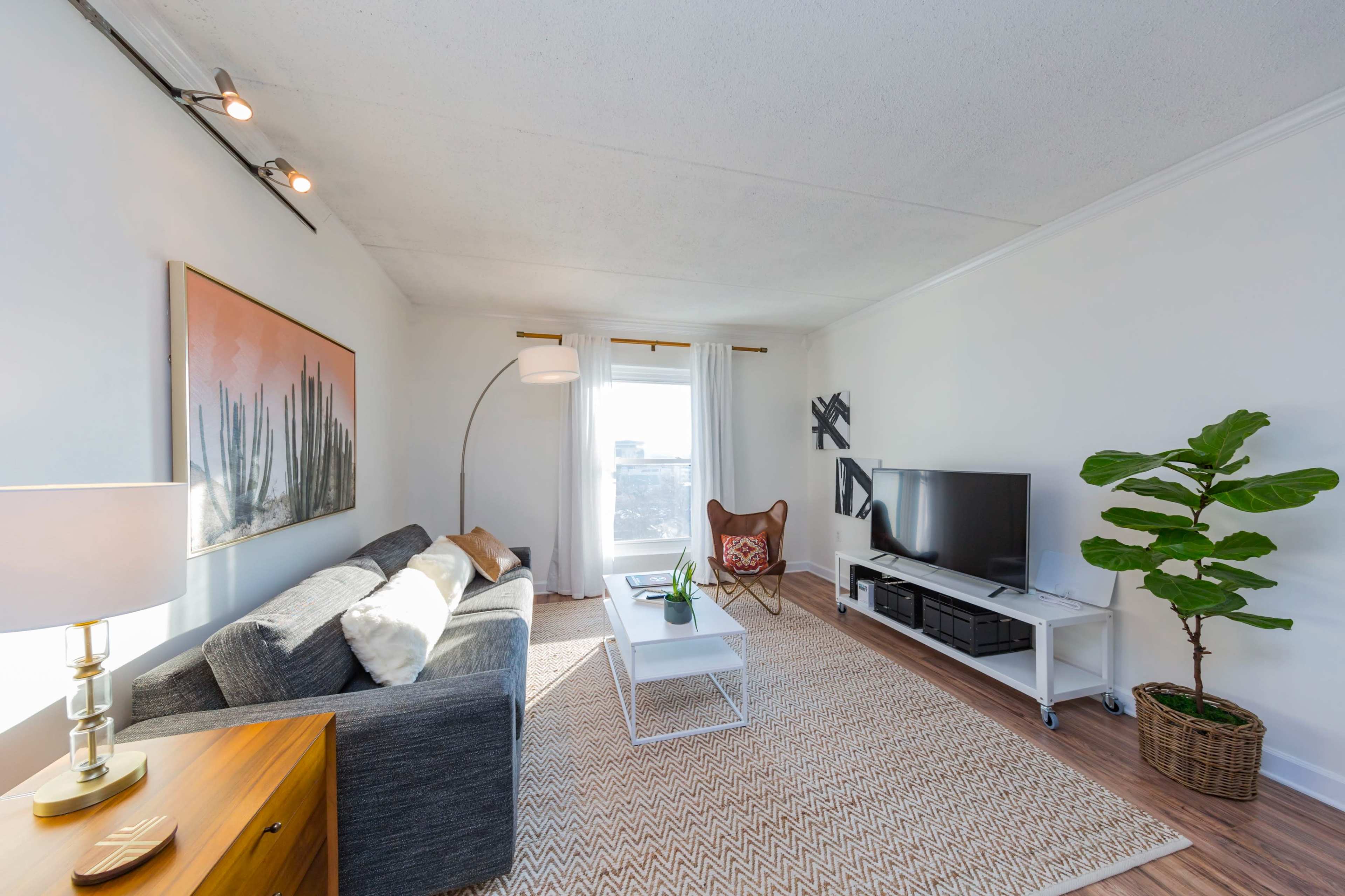 A bright living room featuring a gray sofa, a butterfly chair, a television on a white stand, and a large window with sheer curtains, all set on a light-colored rug.