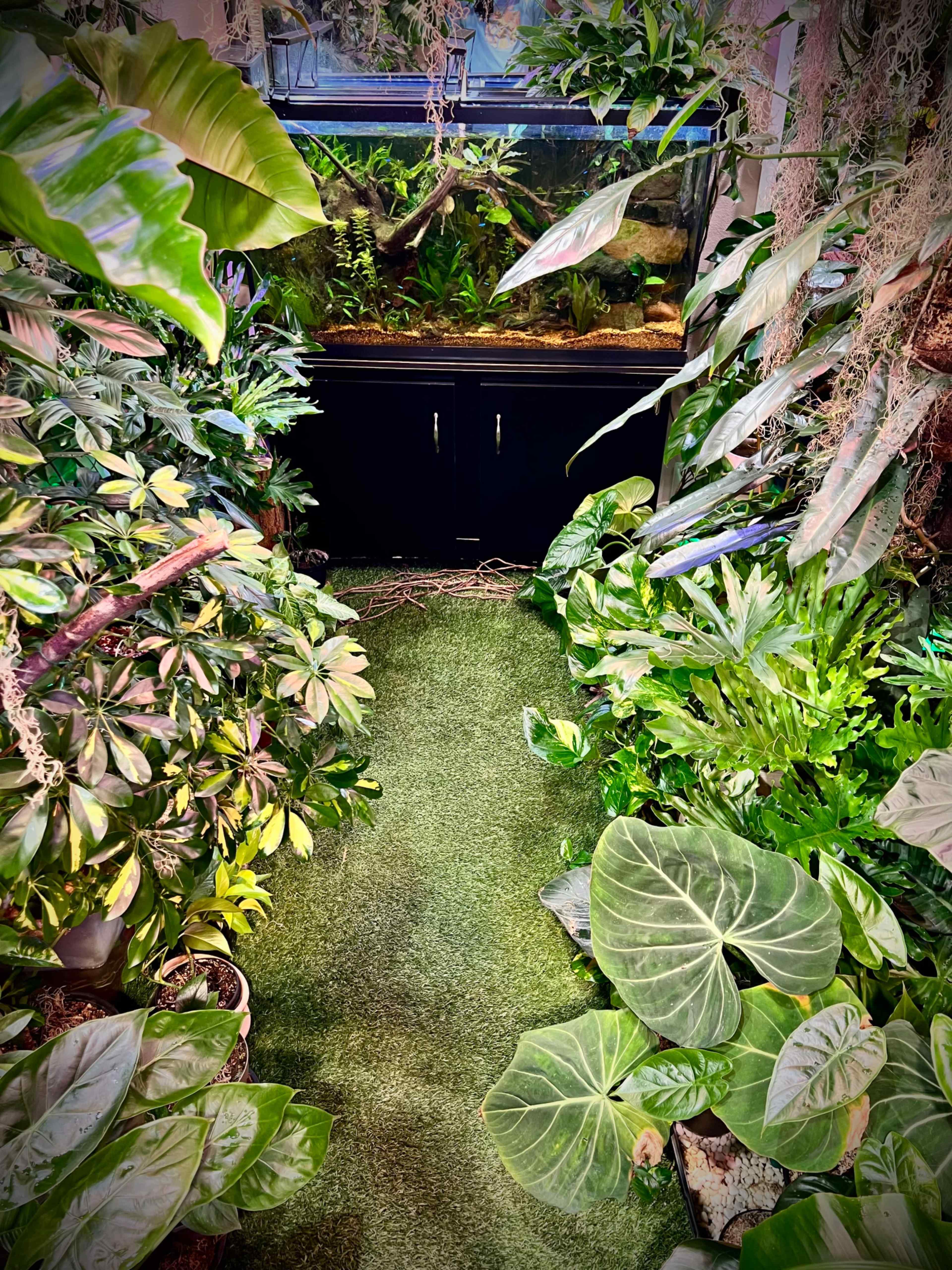 INDOOR JUNGLE!🌿 Image in Summer Valley Ranch, Aurora, CO