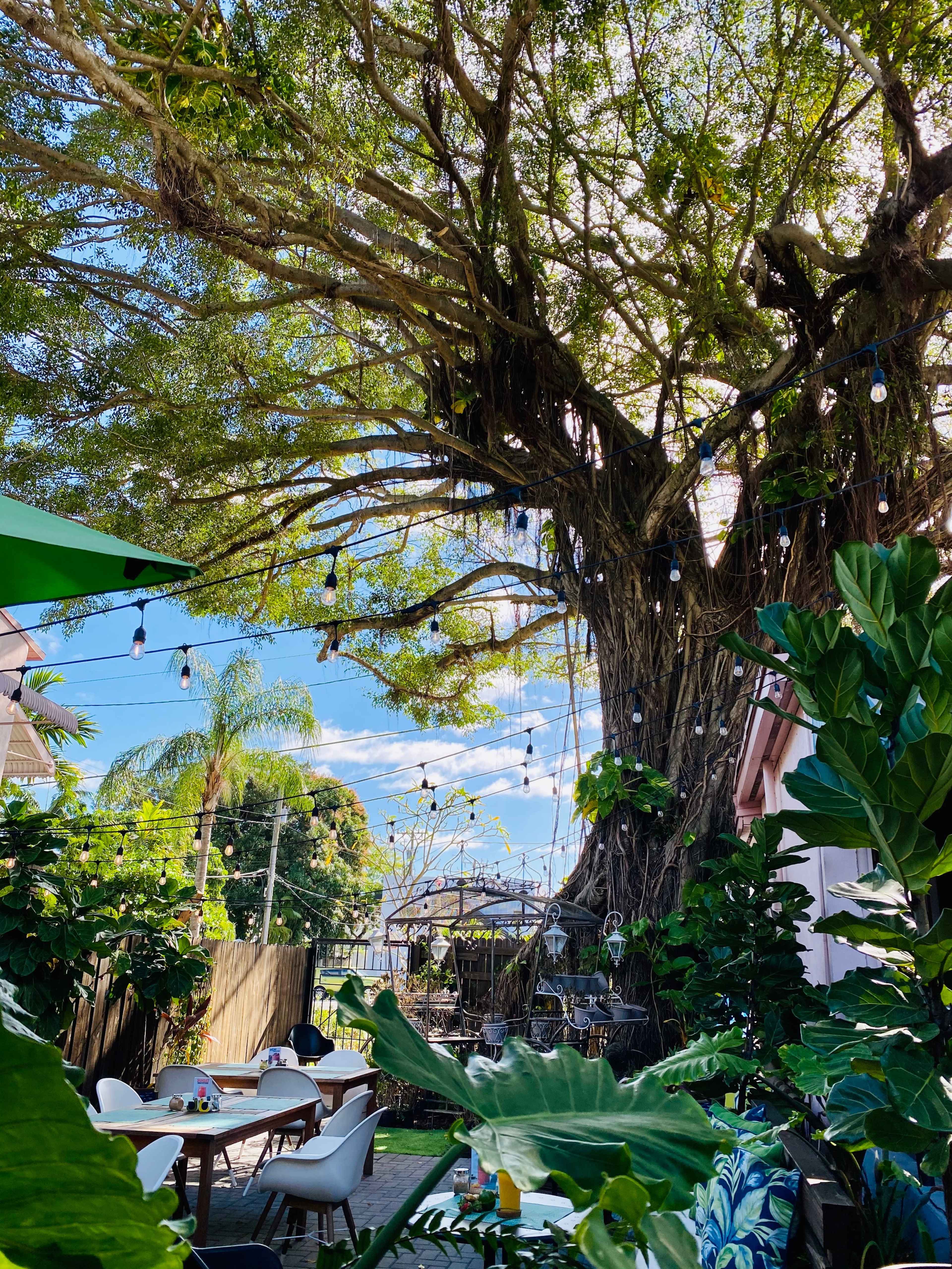 A large tree with hanging lights provides shade over a patio area filled with tables and lush greenery.