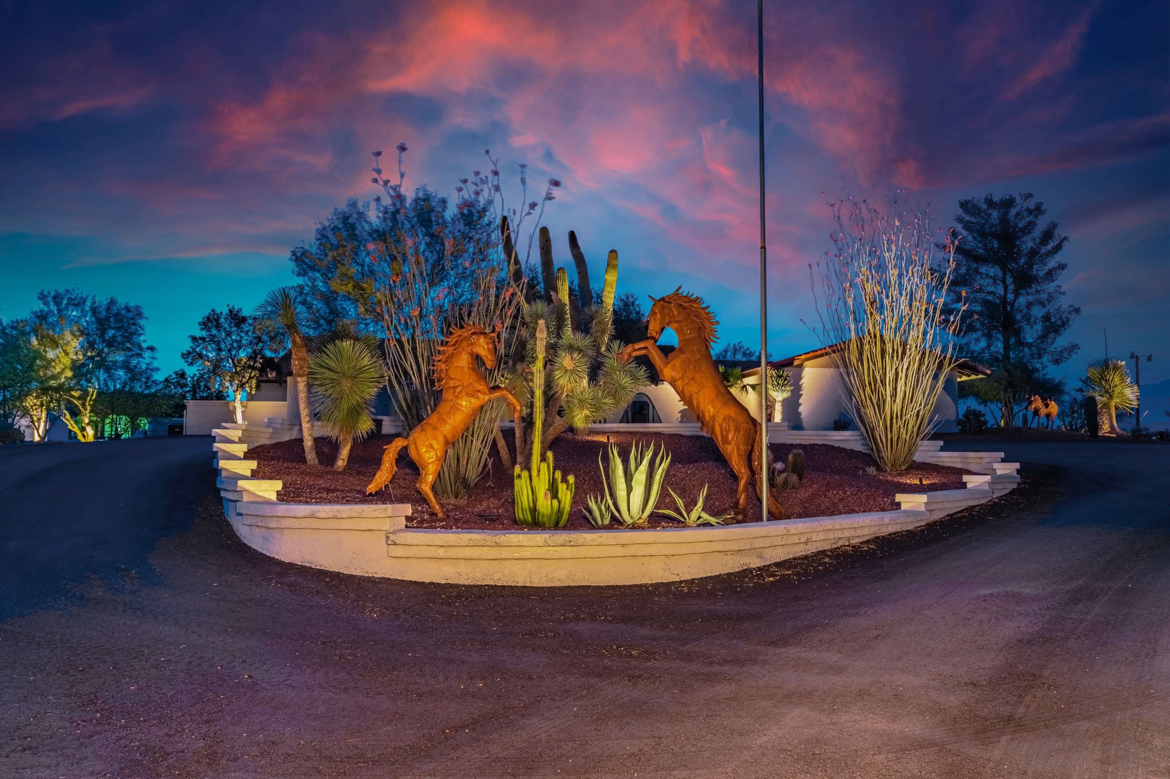 A landscaped roundabout features two metal horse sculptures surrounded by various plants under a colorful sunset sky.