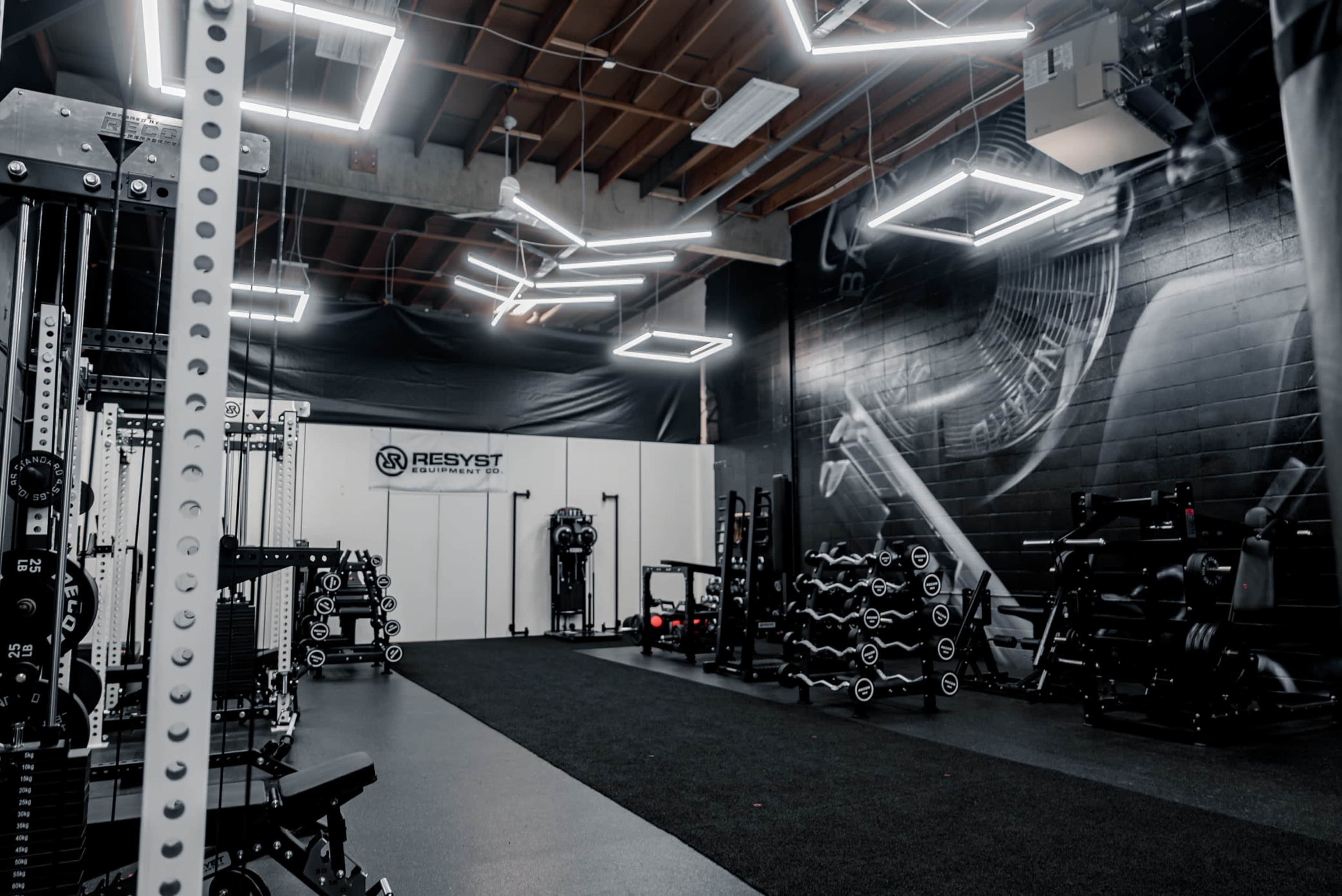 Modern Gym Aesthetic Image in Alyth/Bonnybrook, calgary, AB