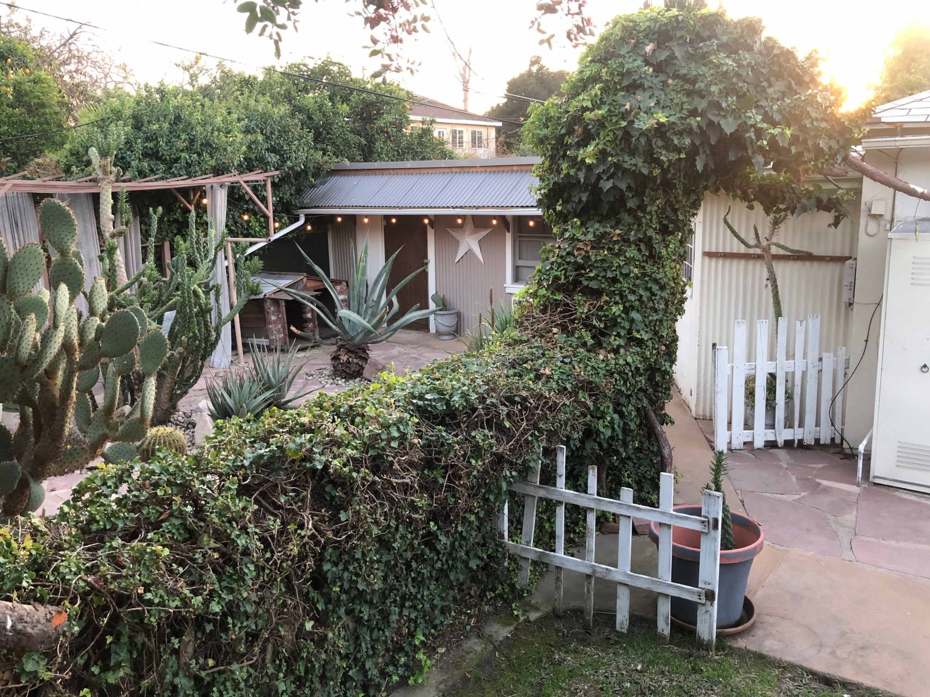 A rectangular backyard features a vine-covered fence, various plants, and a star decoration on a building in the background.