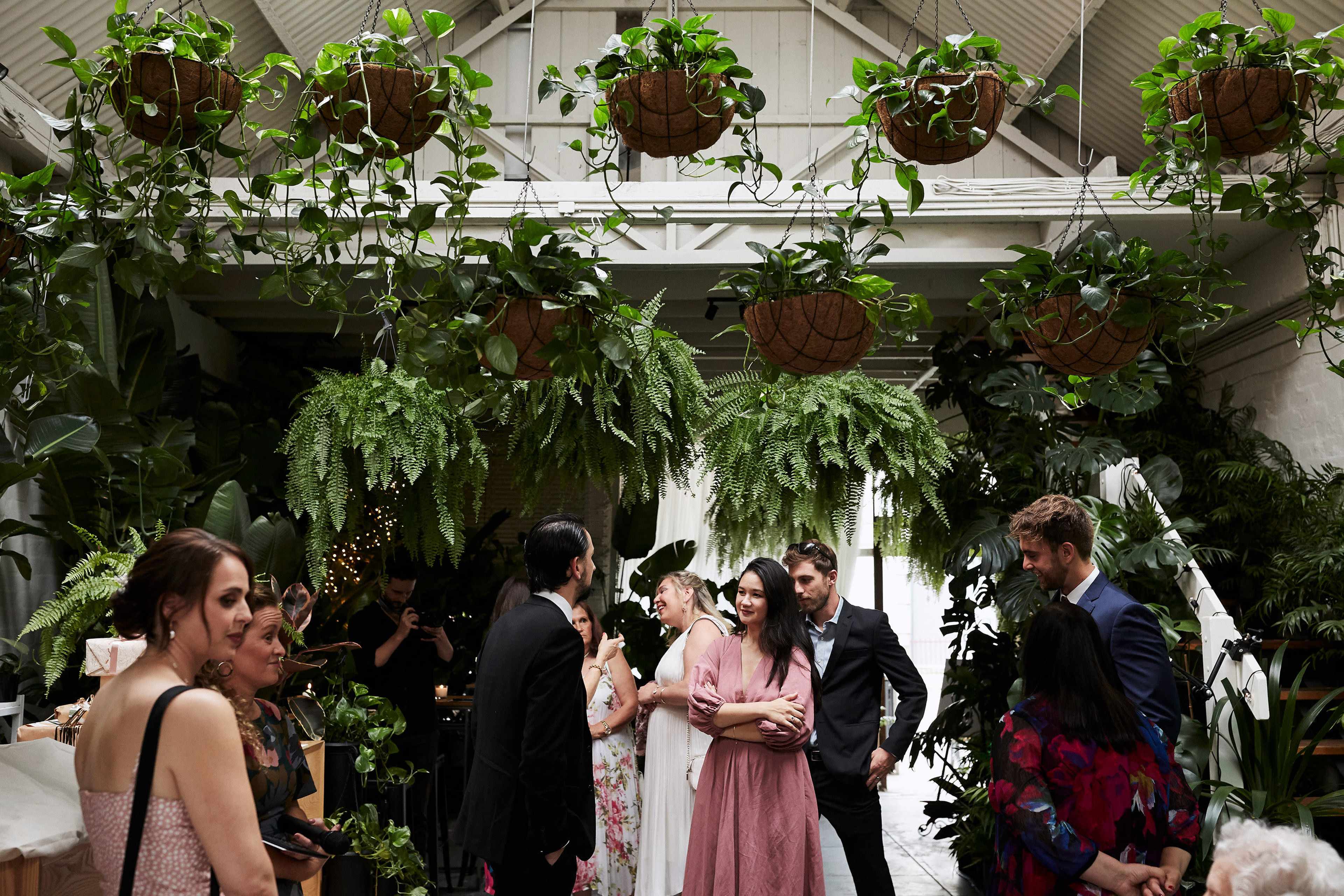 A group of people socialize in a lush, plant-filled indoor space decorated with hanging baskets of greenery.