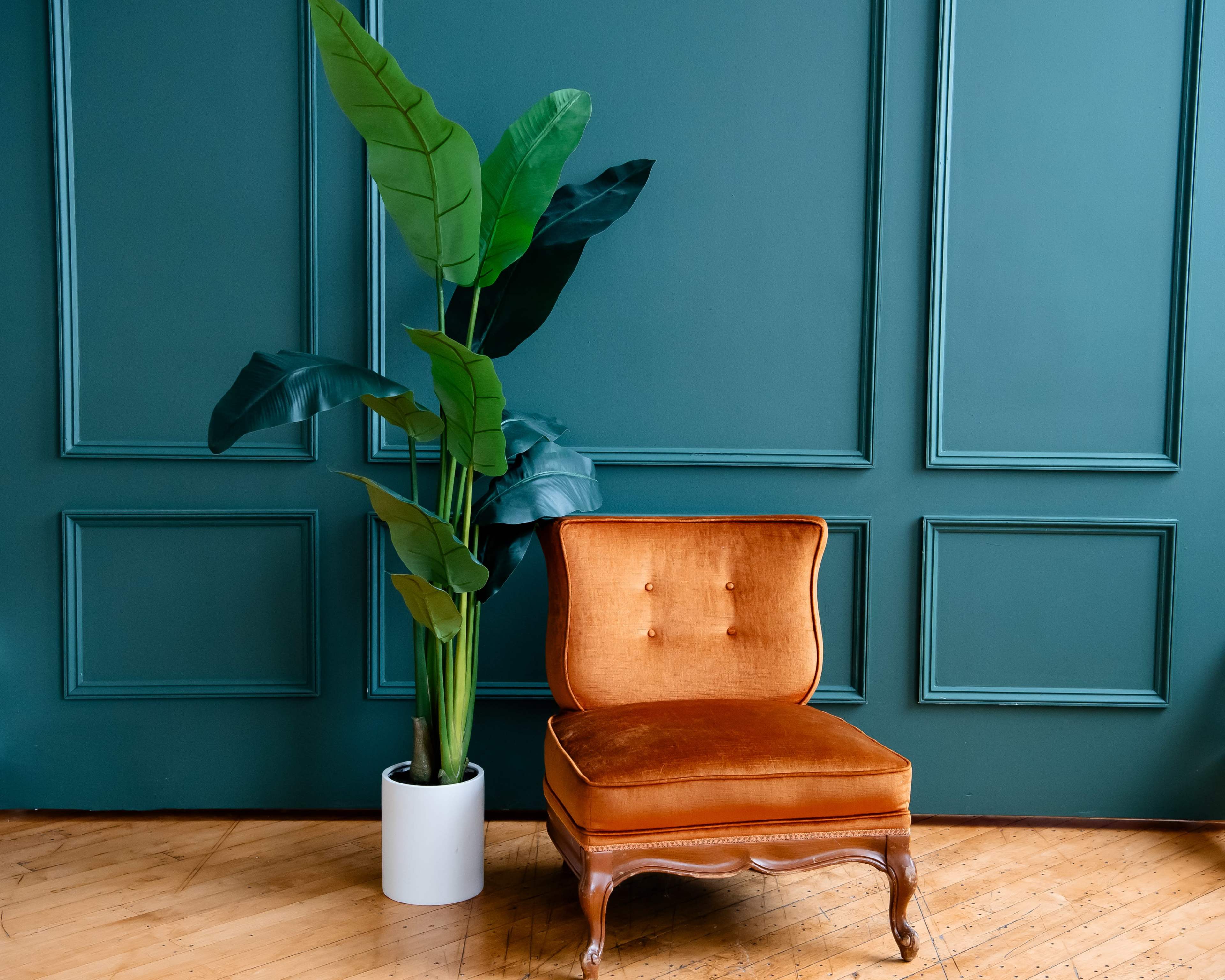 Gorgeous Natural Light Studio Image in Hamline - Midway, St Paul, MN