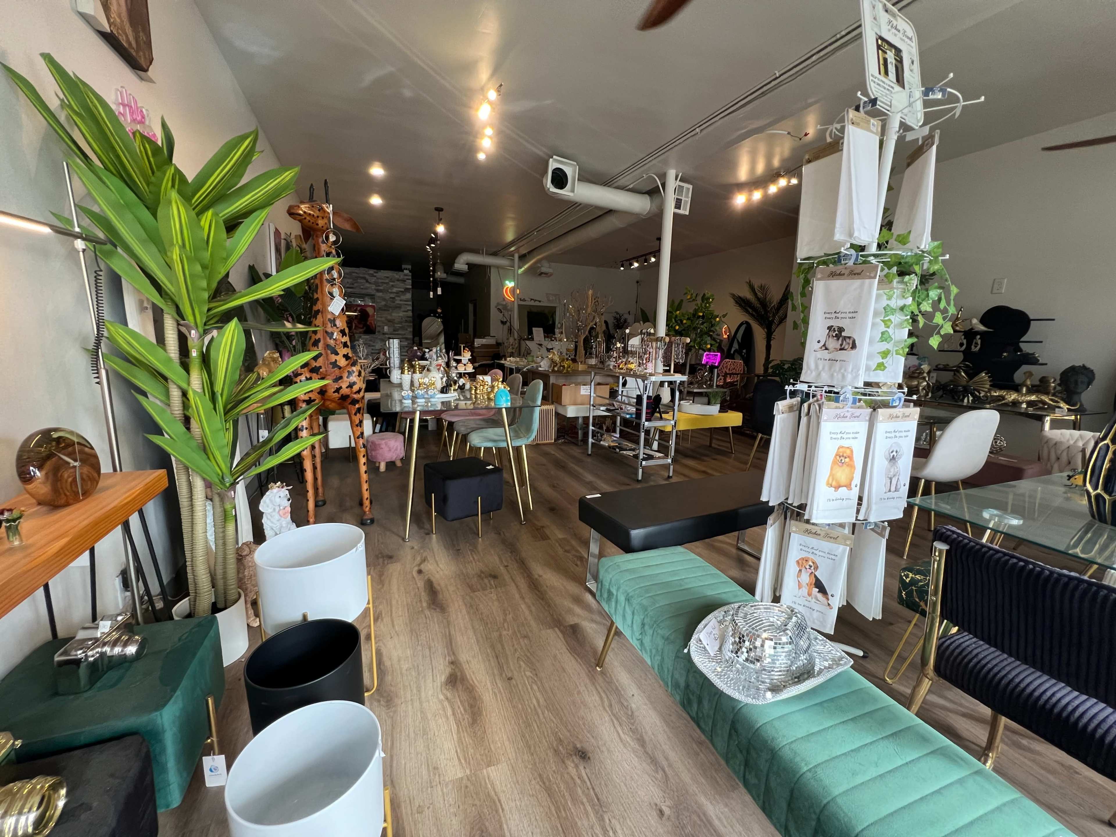 The image shows a boutique interior with various decorative items, furniture, and plants arranged throughout the space.