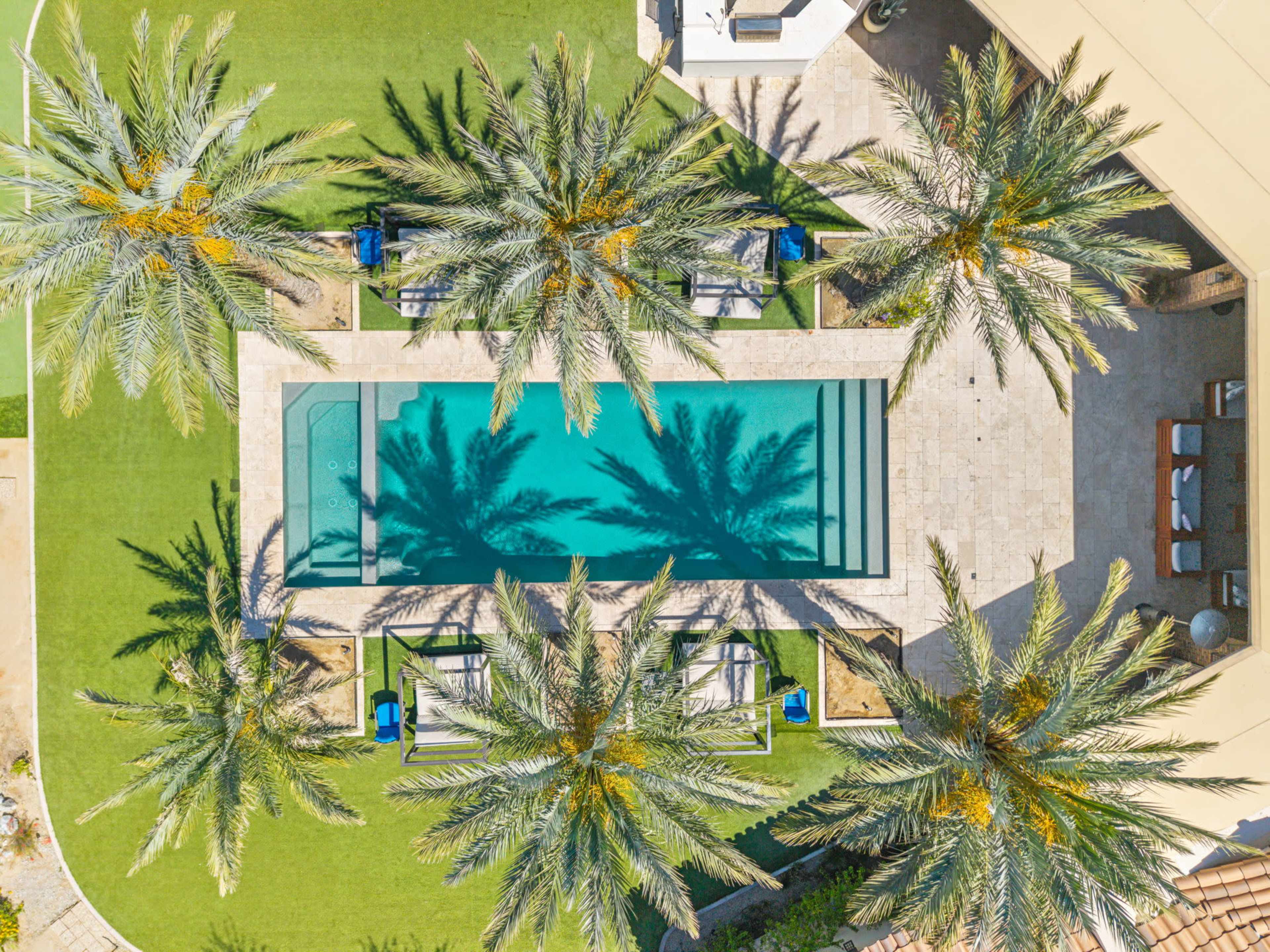 Aerial view of a rectangular swimming pool surrounded by palm trees and lounge chairs on grassy landscaping.