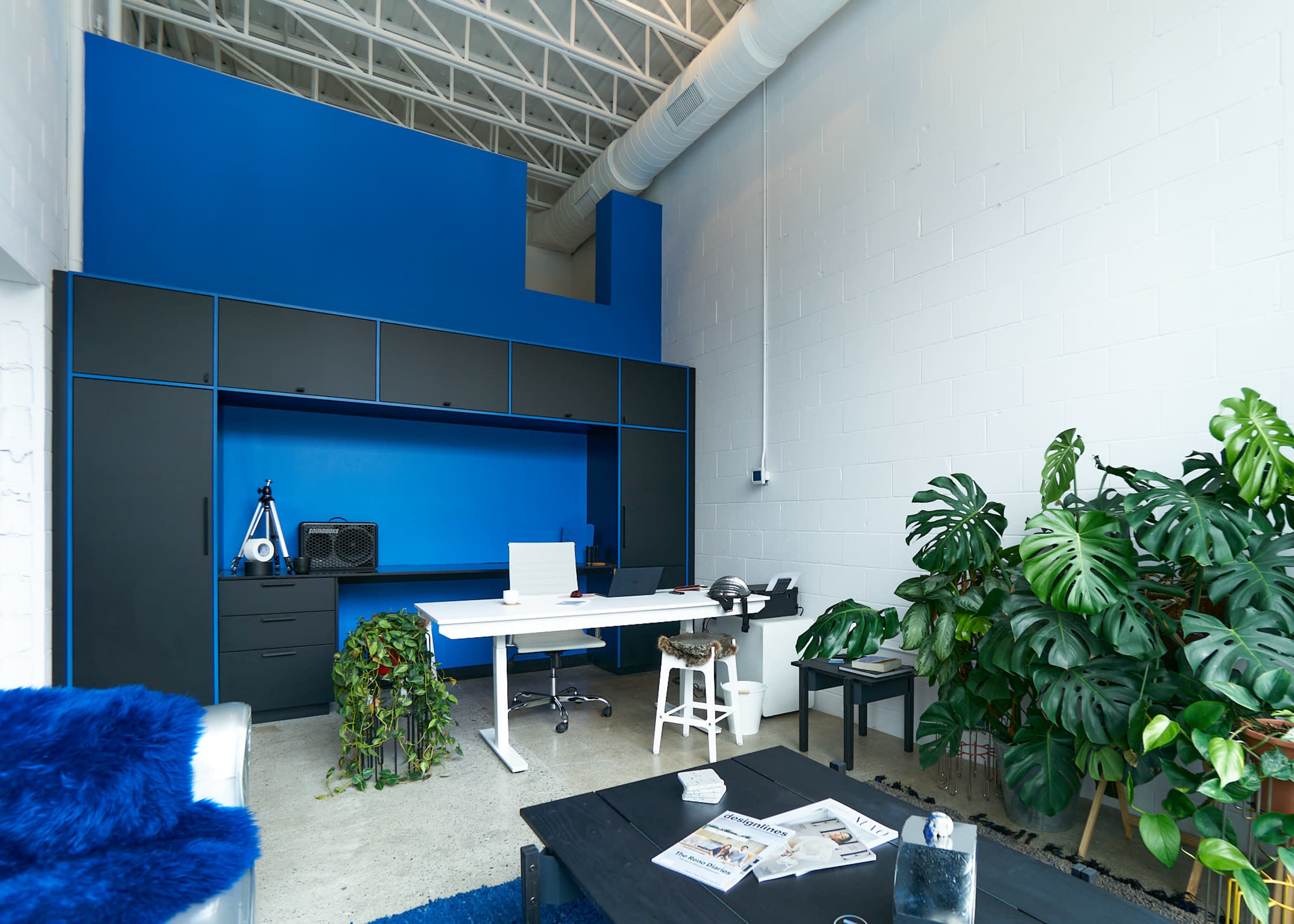 A modern office space featuring a blue accent wall, a white desk with a computer, plants, and a black storage unit.