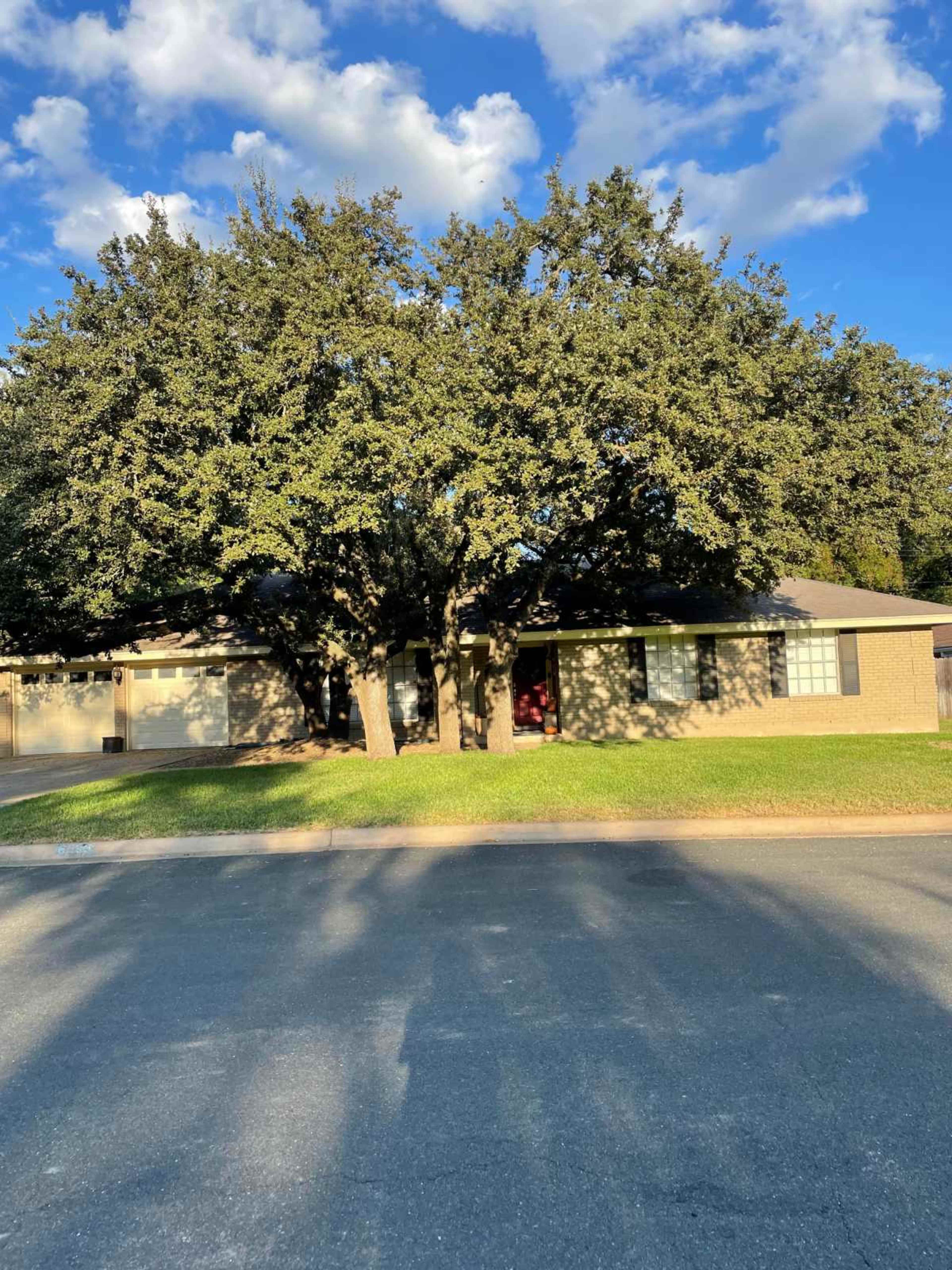 A large tree stands in front of a single-story house on a quiet street under a partly cloudy sky.