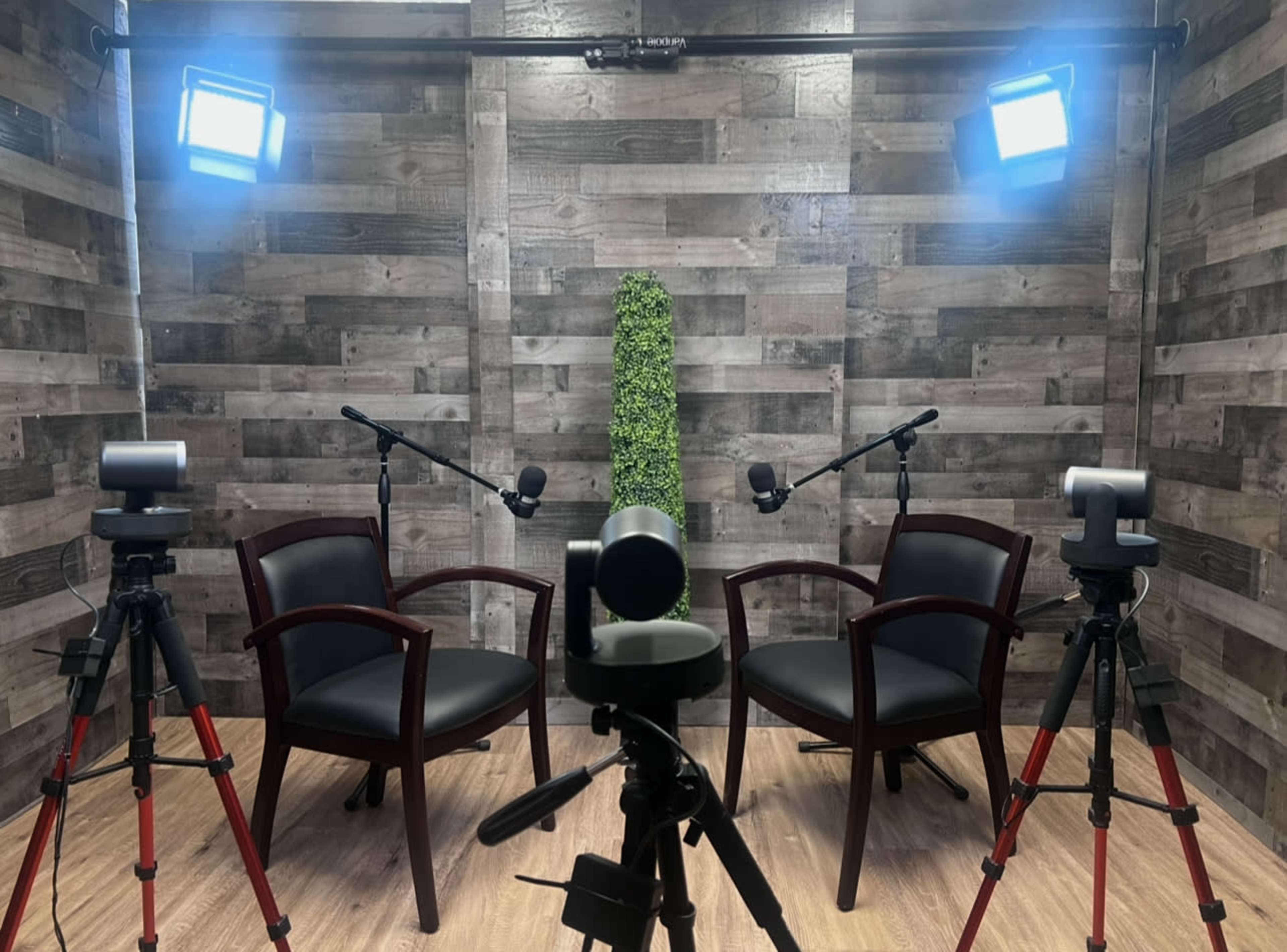 The image shows a video recording setup featuring two chairs, three tripods with cameras, and two microphones, all in front of a wooden wall adorned with a vertical green plant.