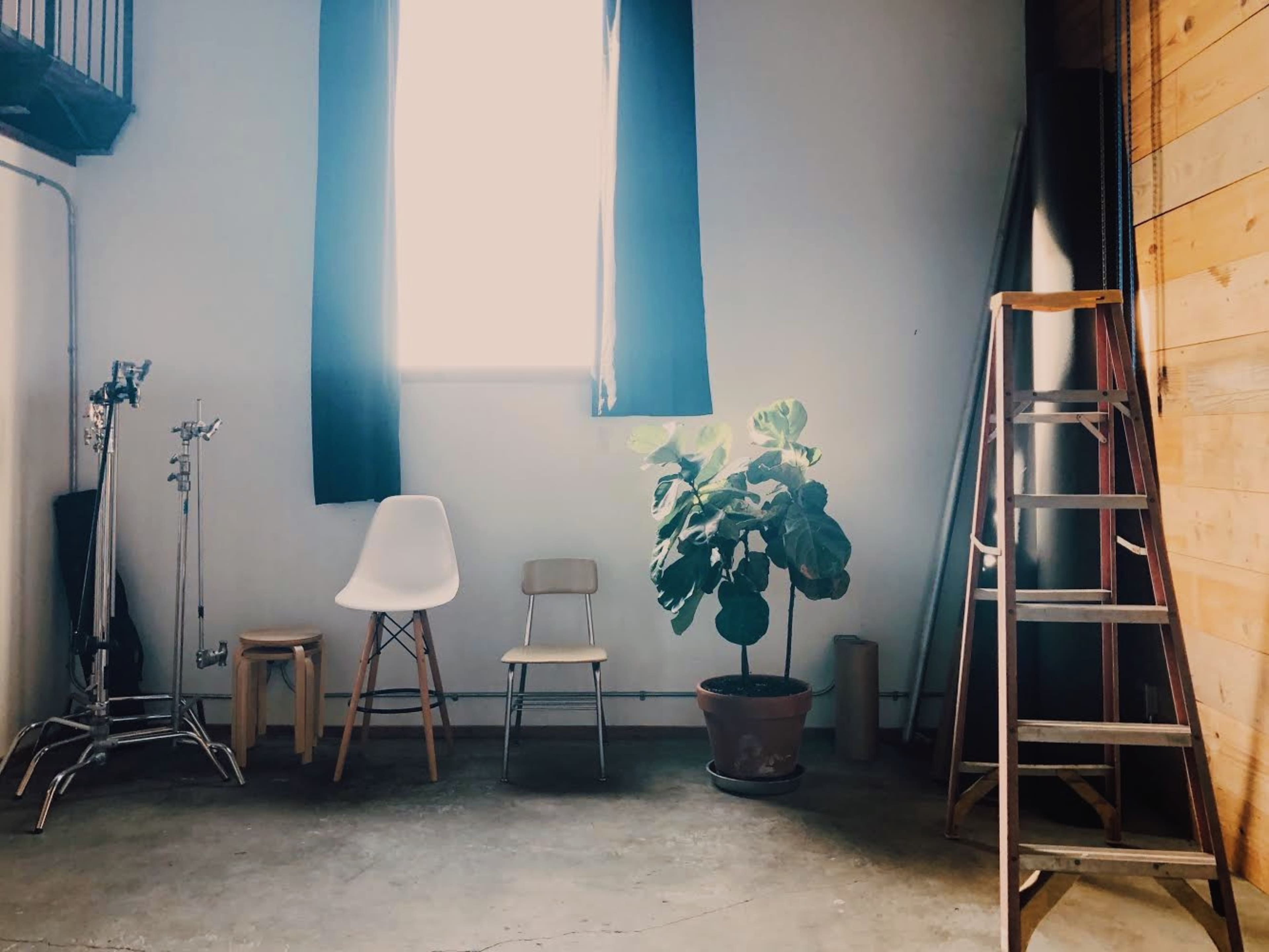 The image shows a minimalistic studio space with a window, two chairs, a potted plant, a ladder, and a film stand.