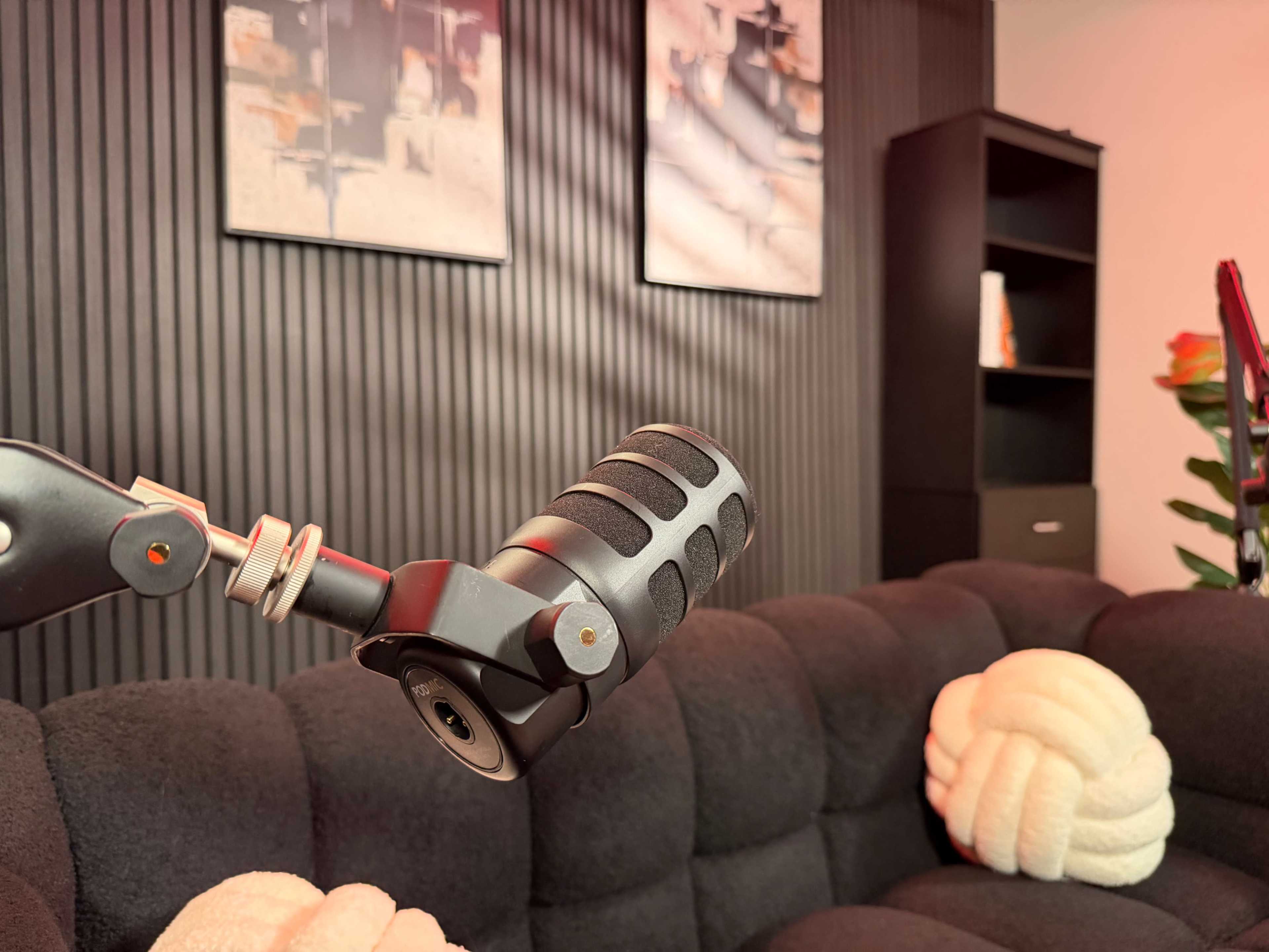 The image shows a close-up of a microphone mounted on an adjustable arm, with a couch and decorative artwork in the background.