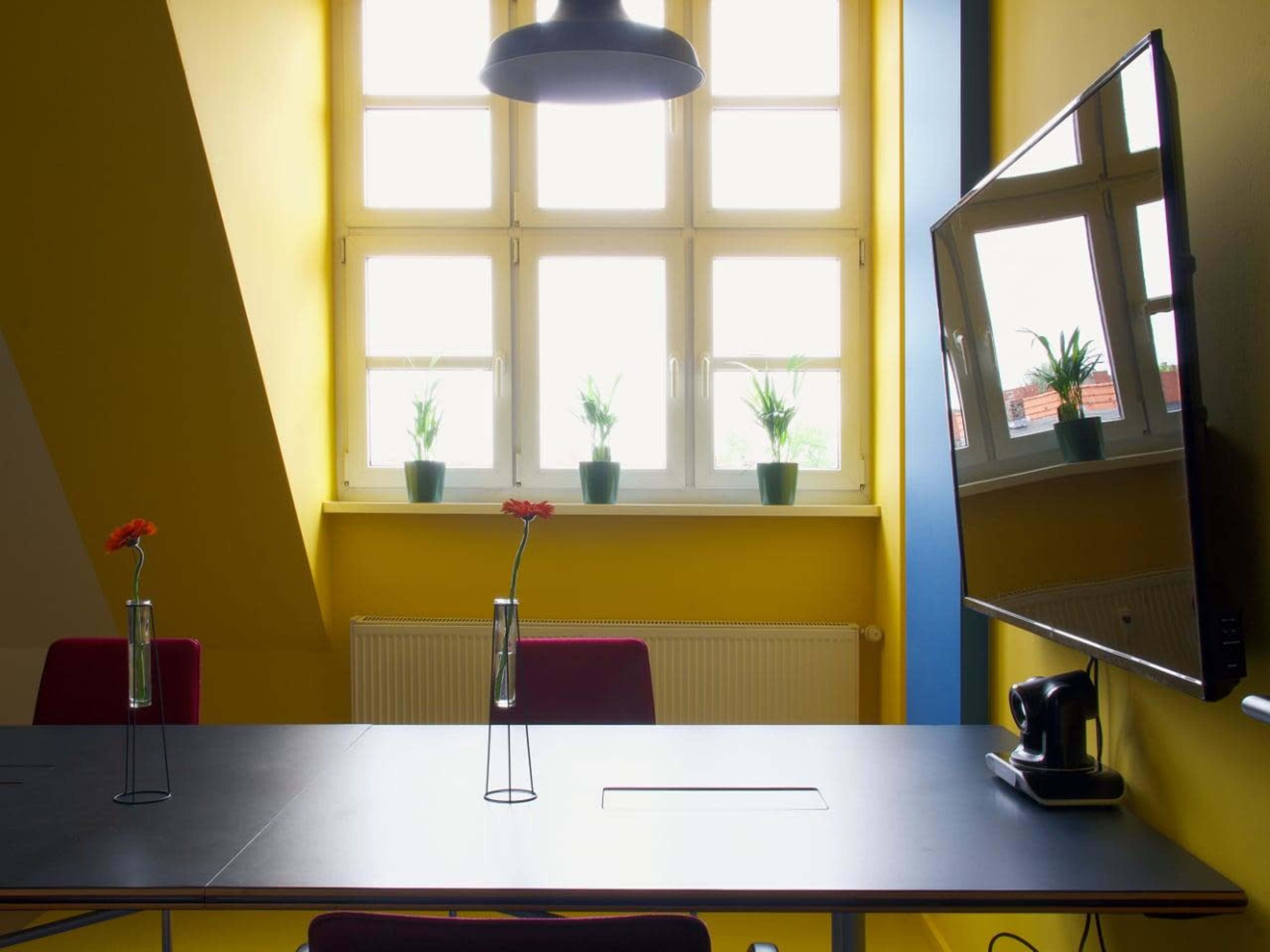 A bright meeting room features a table with two vases containing flowers, a television on the wall, and several plants on the windowsill.