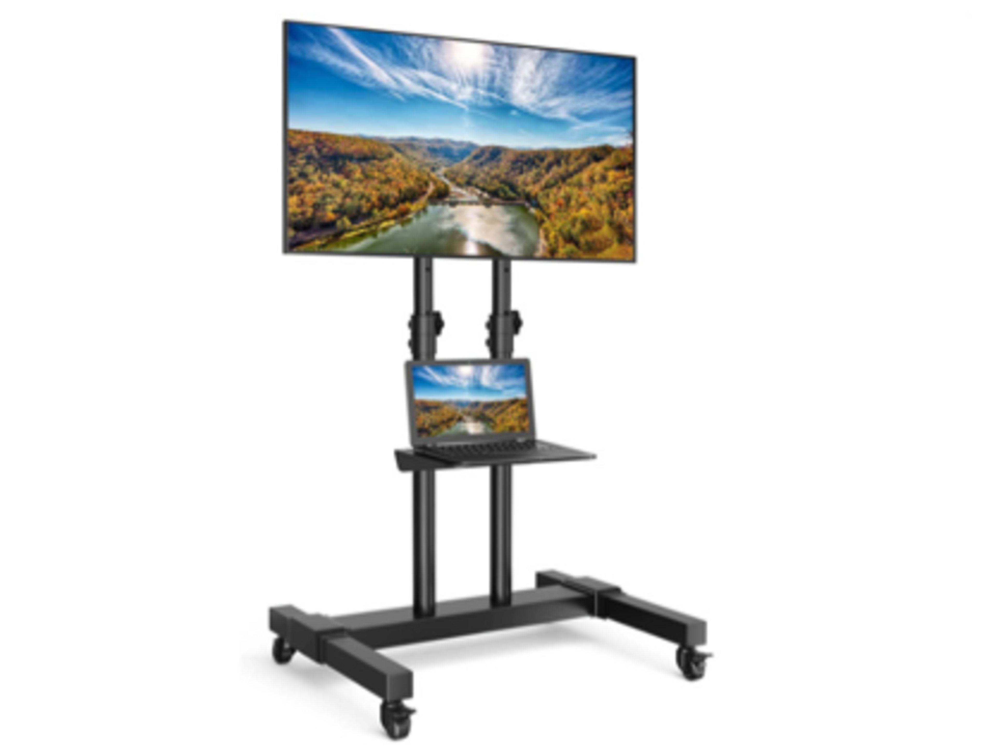 55" TV on a rolling stand