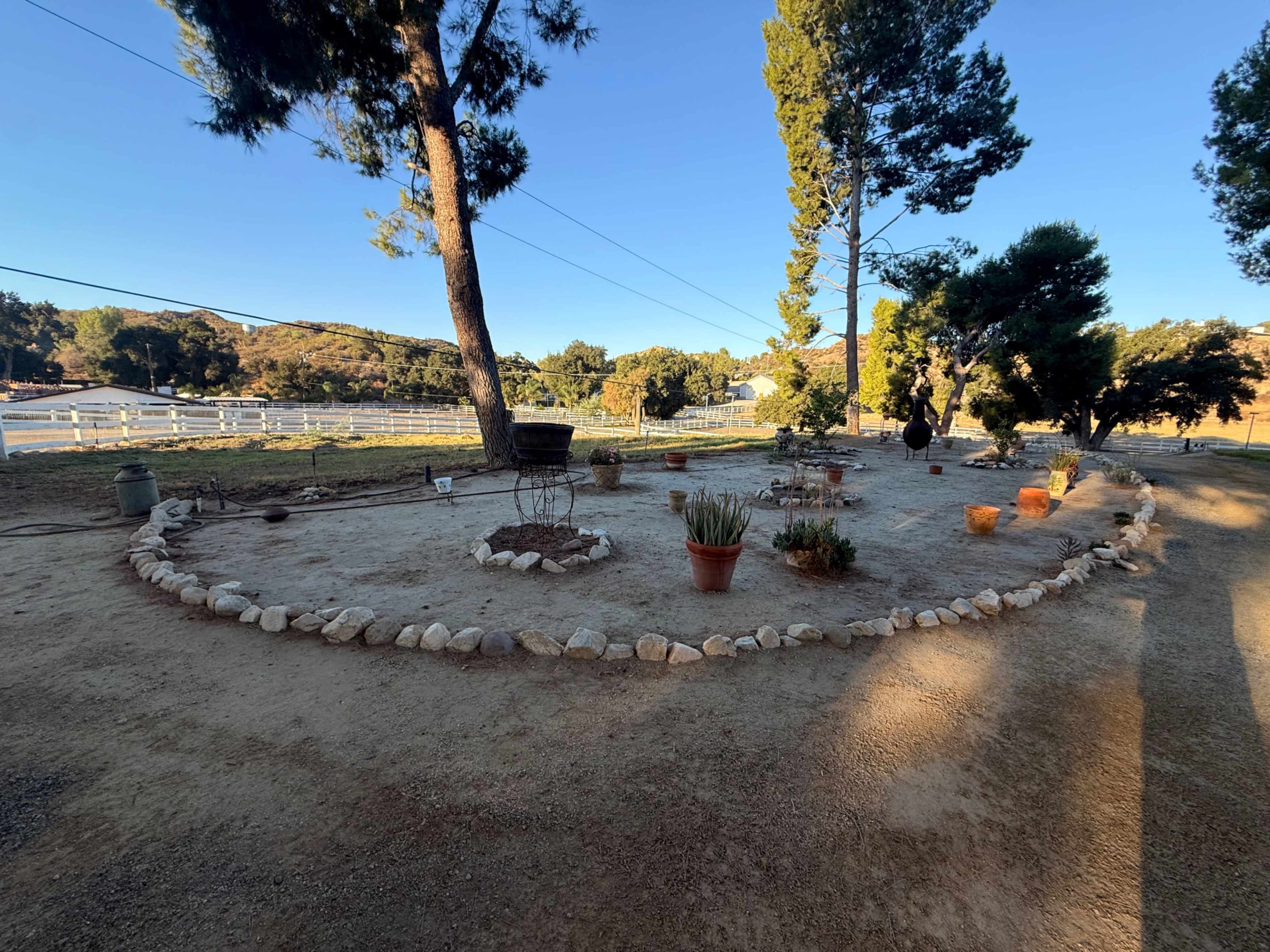 The image shows a circular garden area surrounded by a stone border, with several potted plants arranged on the bare ground and trees in the background.