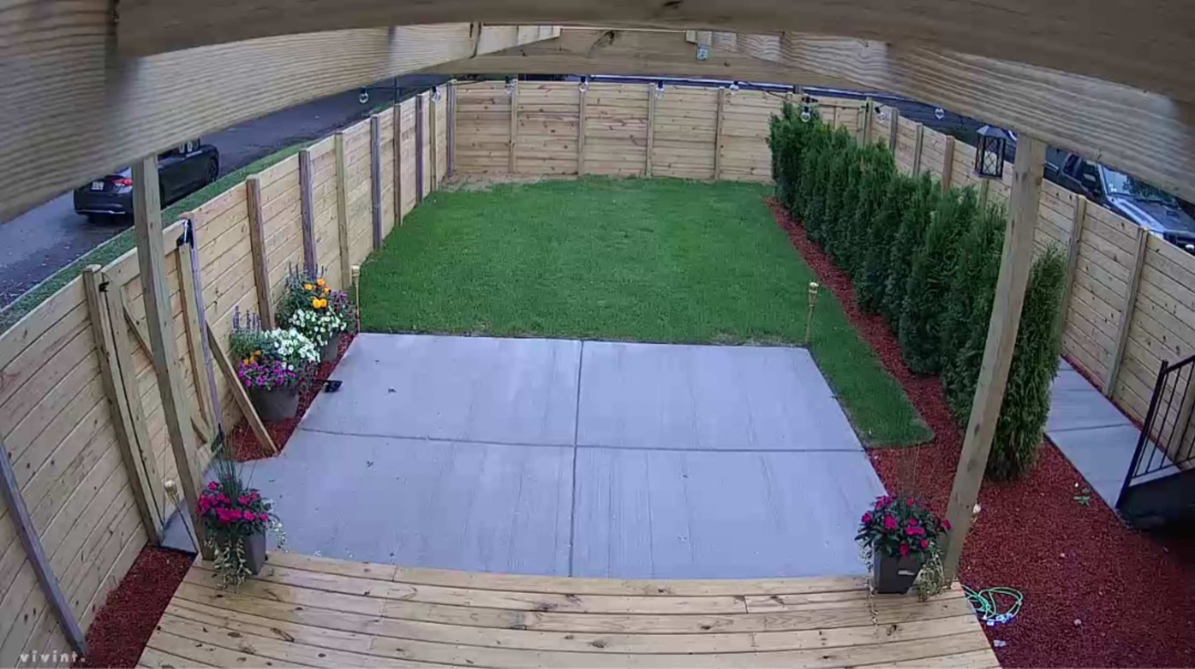 A view of a fenced backyard with a neatly trimmed lawn, planters of flowers at the edges, and a concrete patio area.