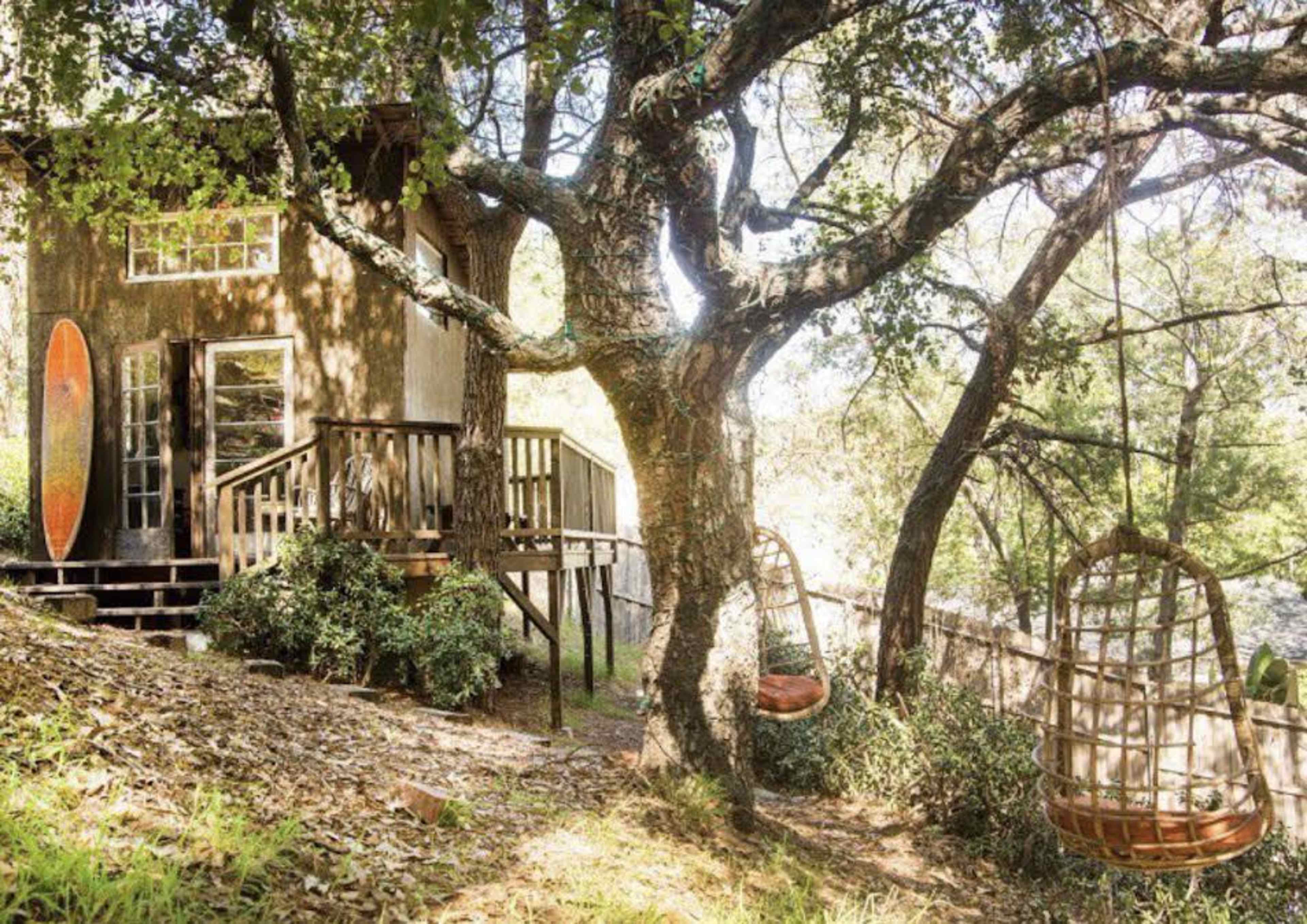 A small wooden cabin sits on a hillside, surrounded by trees, with two hanging wicker chairs and a surfboard leaning against the building.