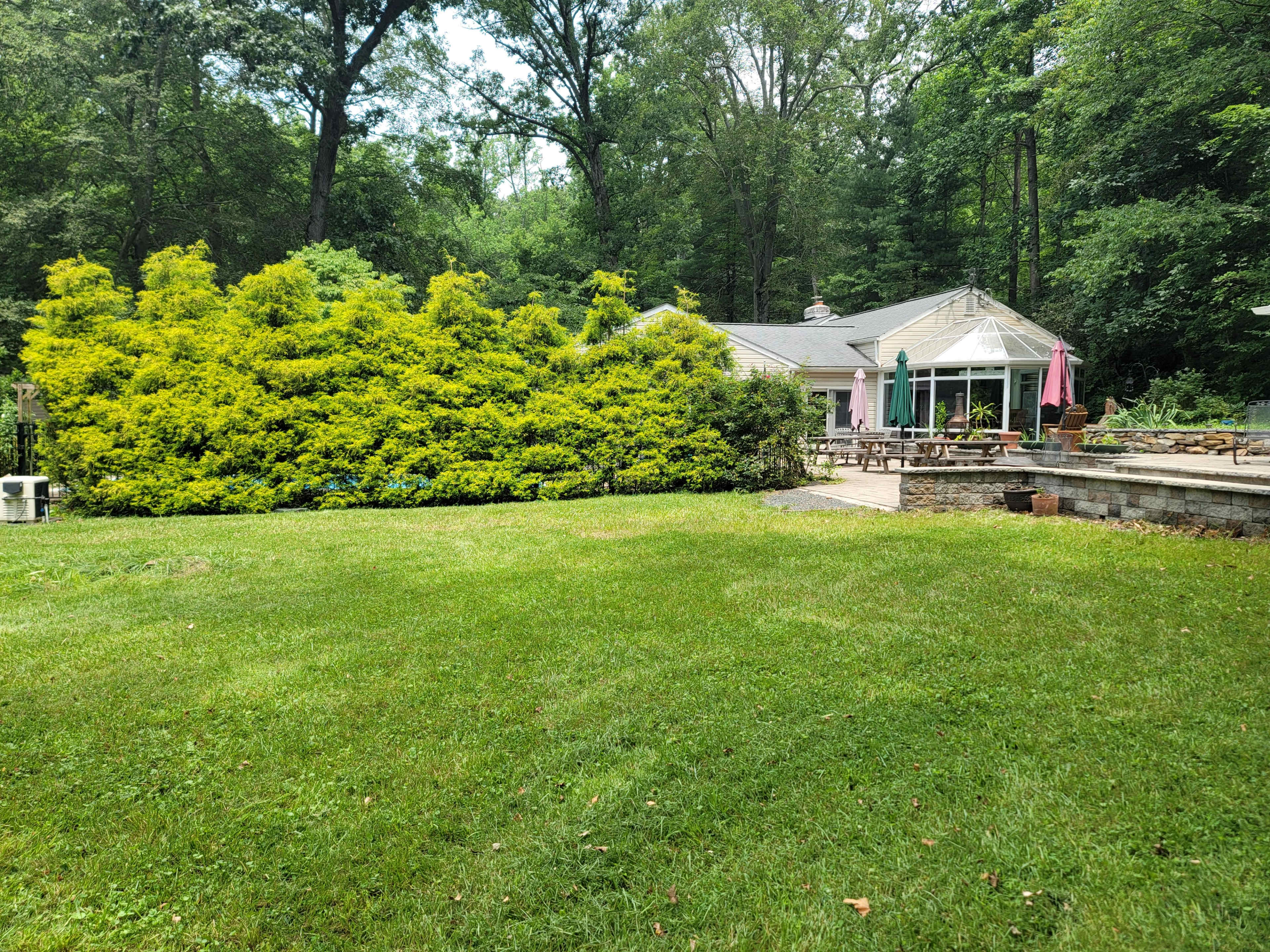 Perfect Outdoor Photography backdrop - Creekside grassy knoll under the shade of trees Image in Kingsville, Kingsville, MD