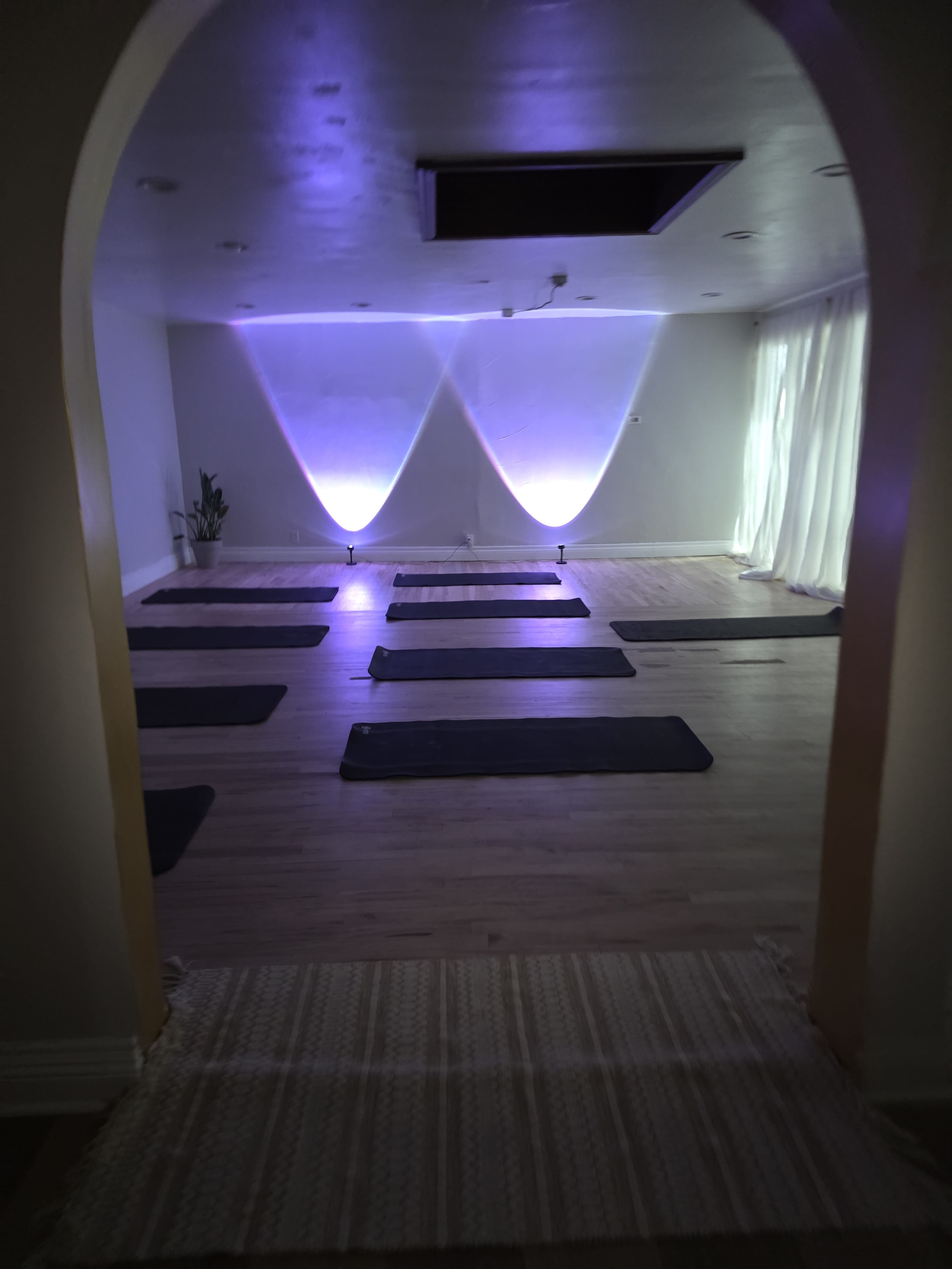 The image shows a yoga studio with several mats placed on a wooden floor, illuminated by soft purple lights and flanked by large windows with sheer curtains.