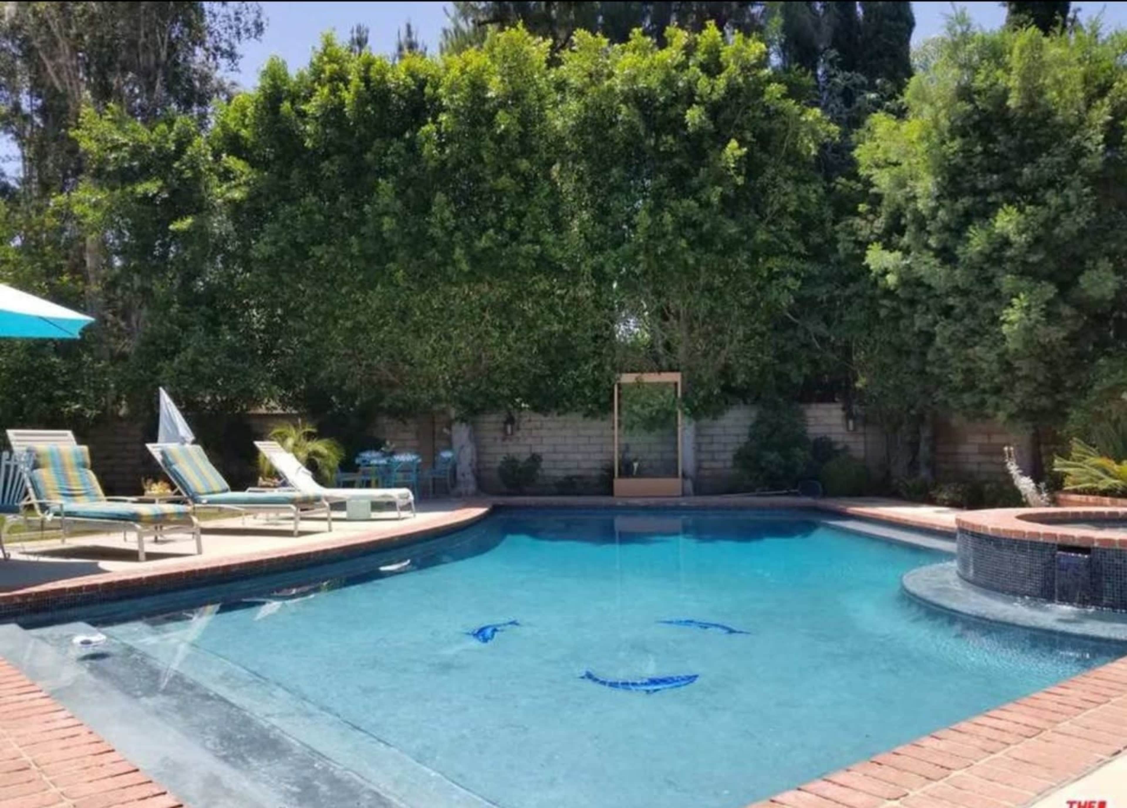 A clear swimming pool surrounded by lounge chairs and lush greenery.