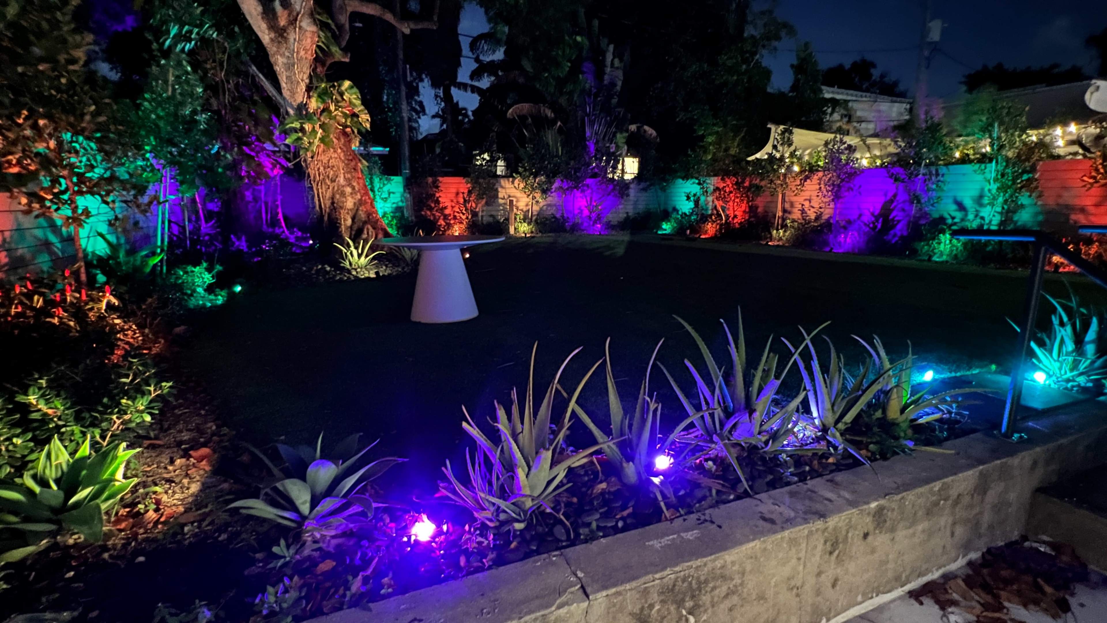 The garden is illuminated with vibrant colored lights showcasing various plants and a central white table.