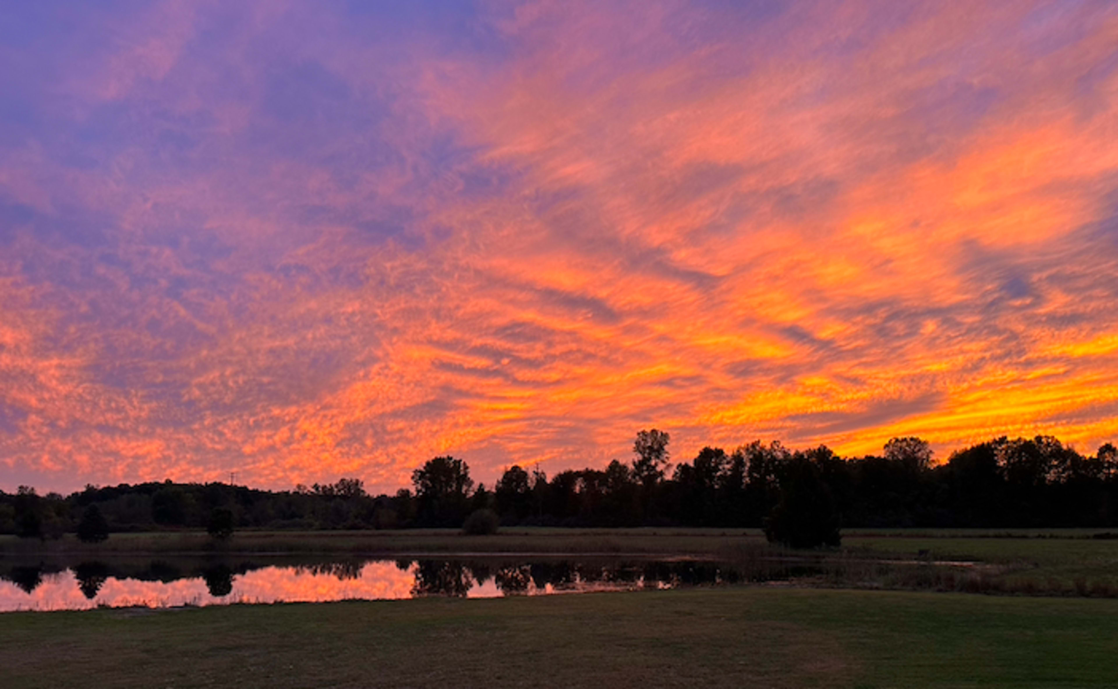 5 Acre Pond with Sunset Views Image in London Township, Milan, MI