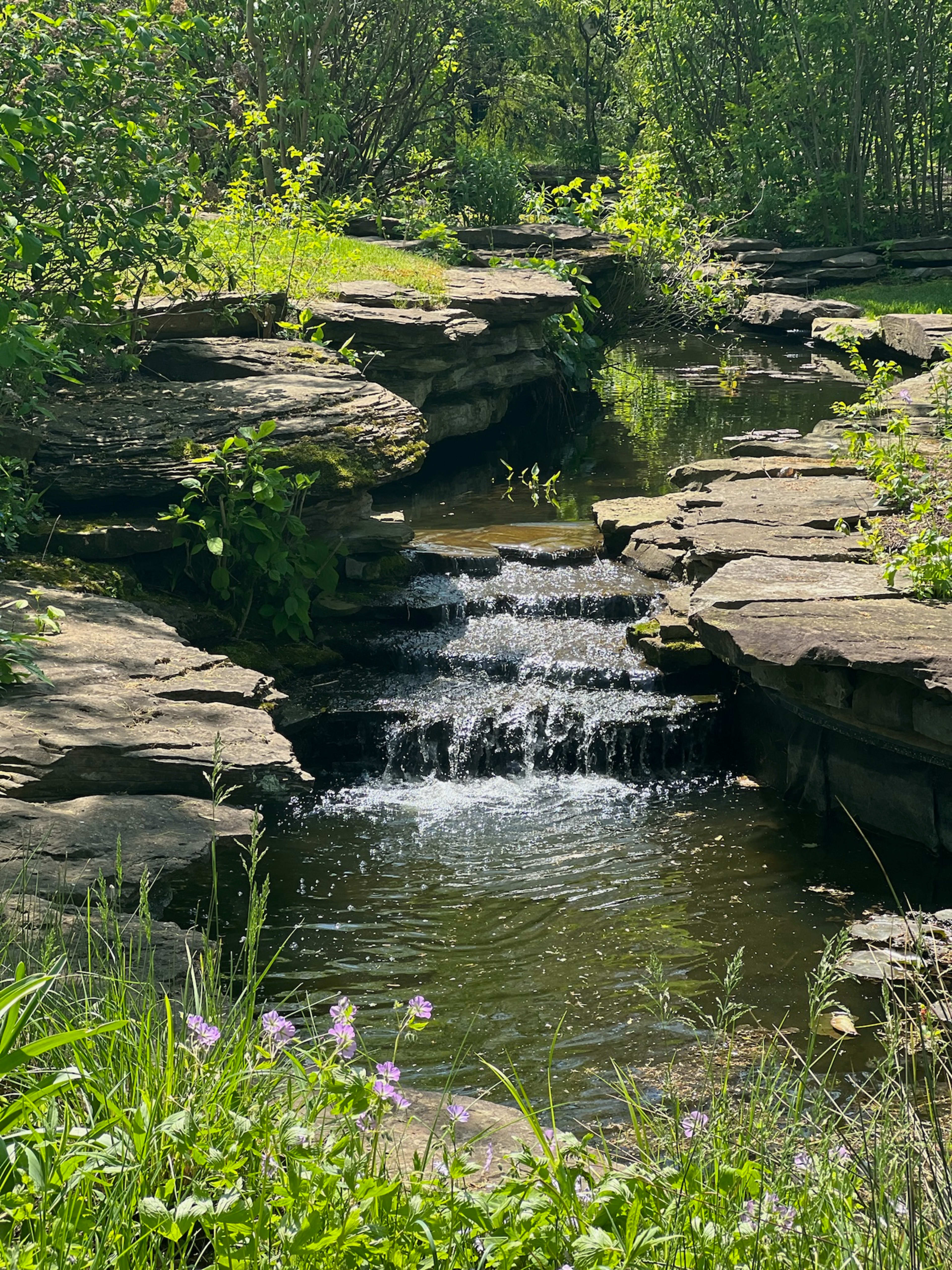 A small waterfall flows over rocky ledges into a tranquil pool surrounded by greenery and wildflowers.