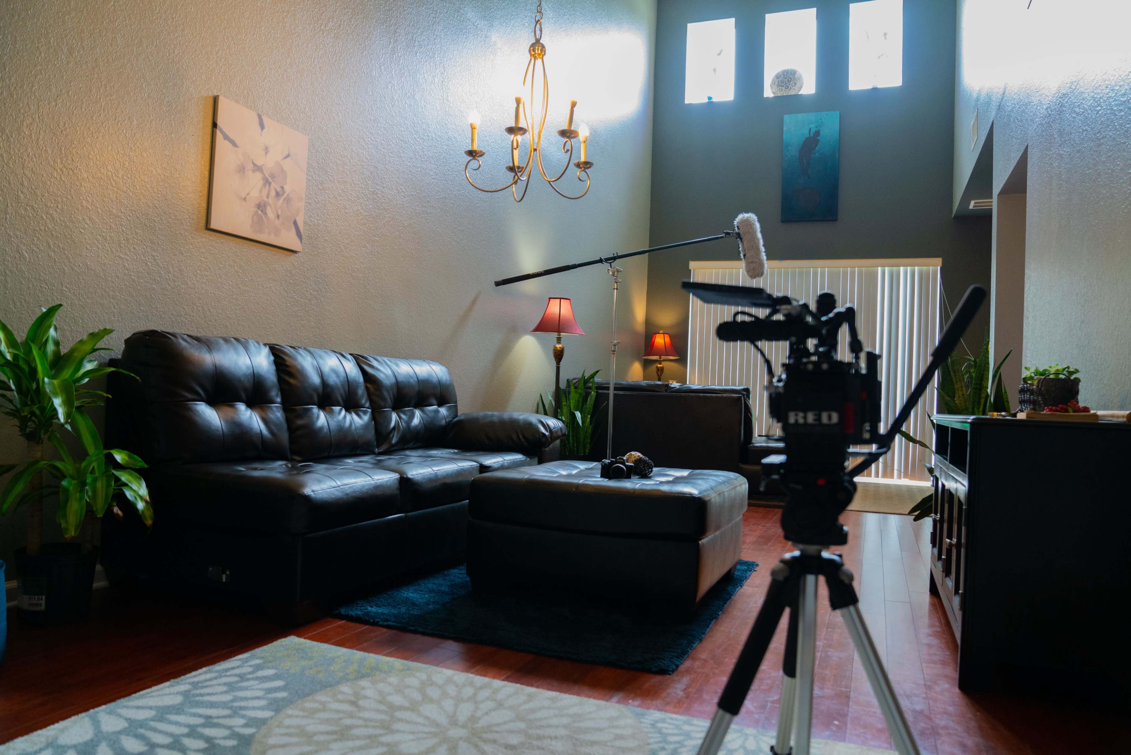 A living room with a black leather sectional couch, a coffee table, plants, and a camera set up on a tripod facing a tall ceiling with large windows.