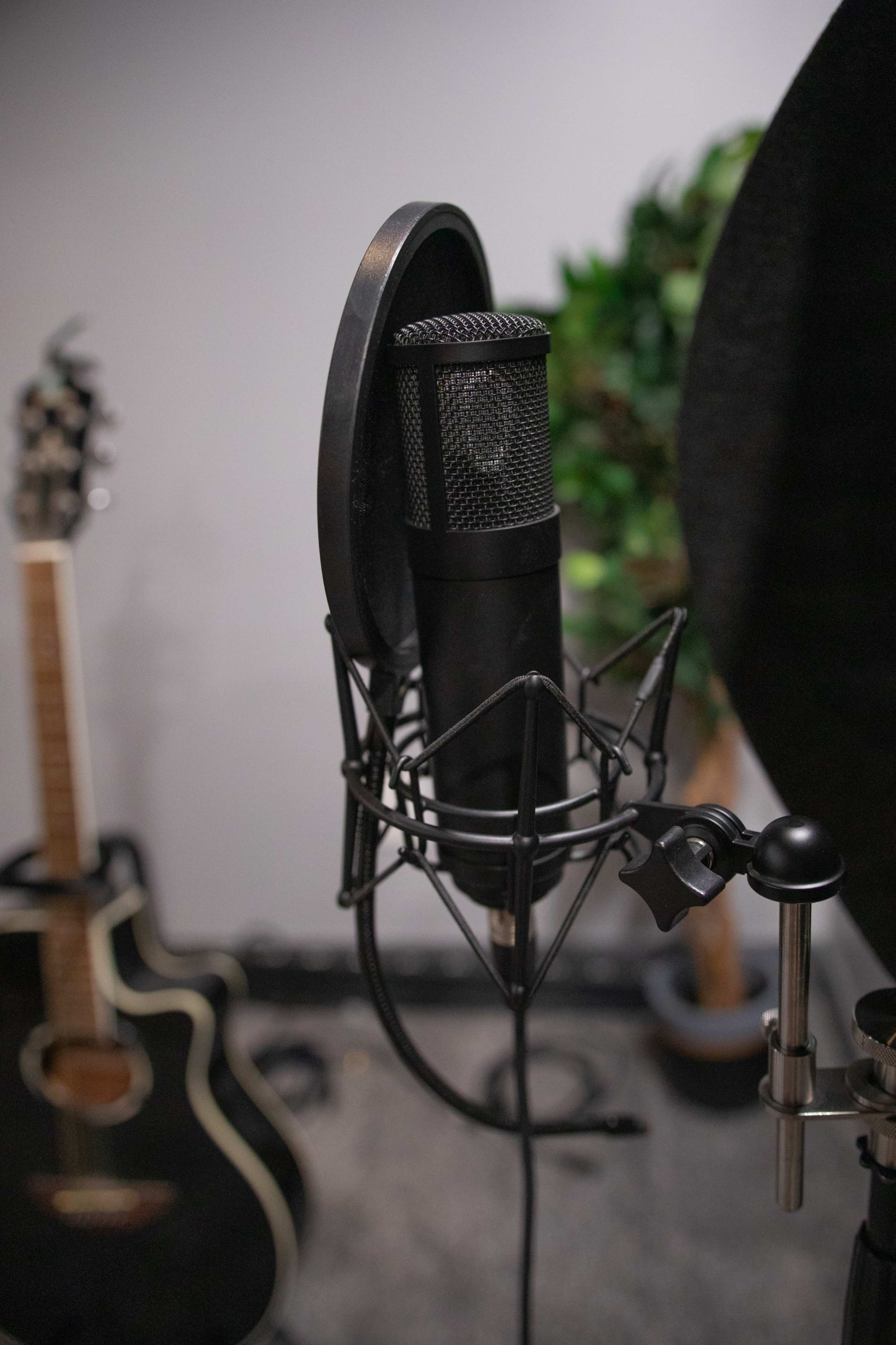 A microphone stands in front of a black acoustic guitar leaning against a wall, with a green plant in the background.
