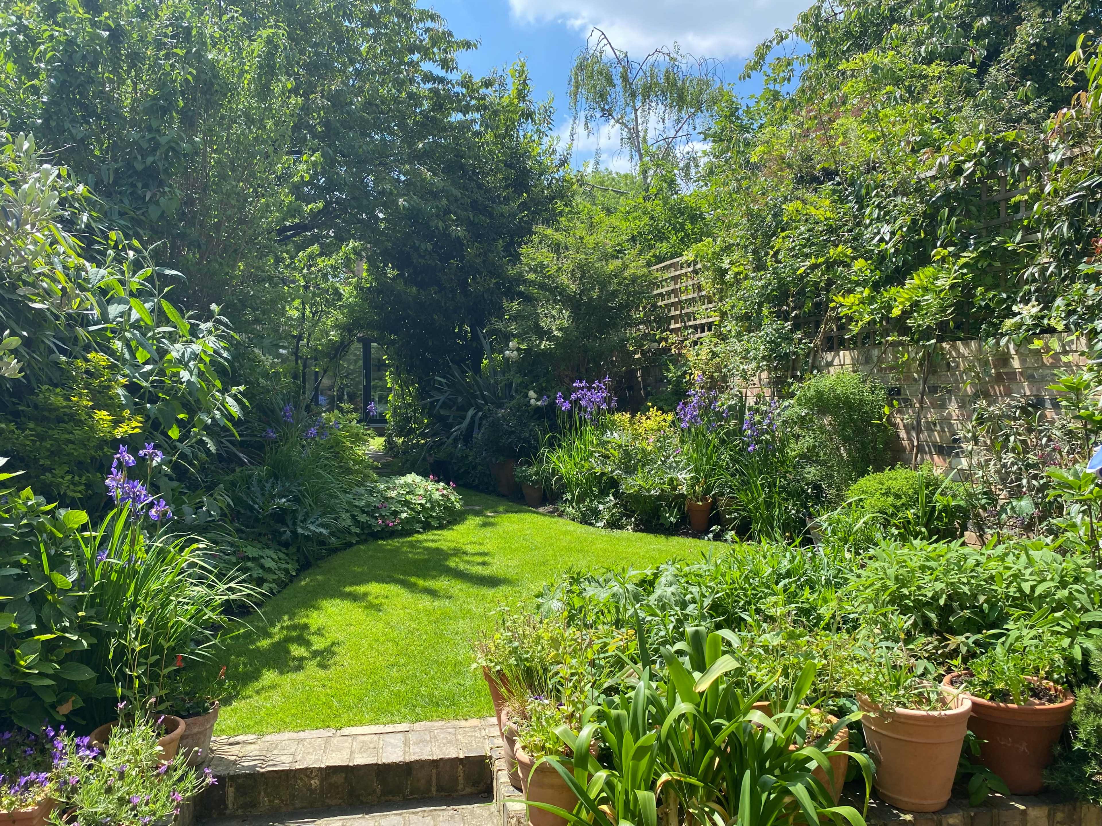 A lush garden features a green lawn surrounded by various flowering plants and shrubs in terracotta pots under a blue sky.
