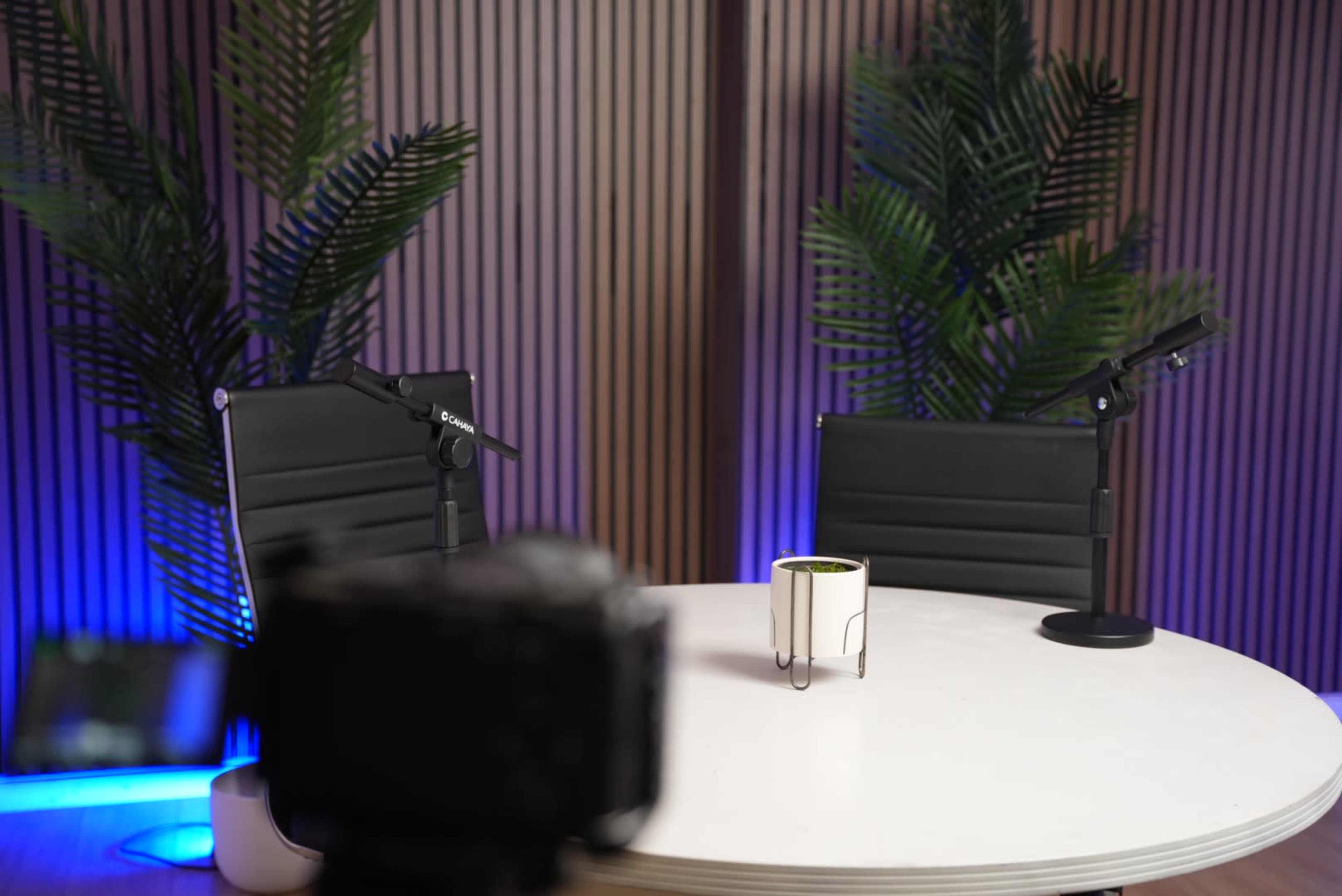 A round table is set with two black chairs and a small plant in a pot, with microphones positioned for a podcast or interview setting.