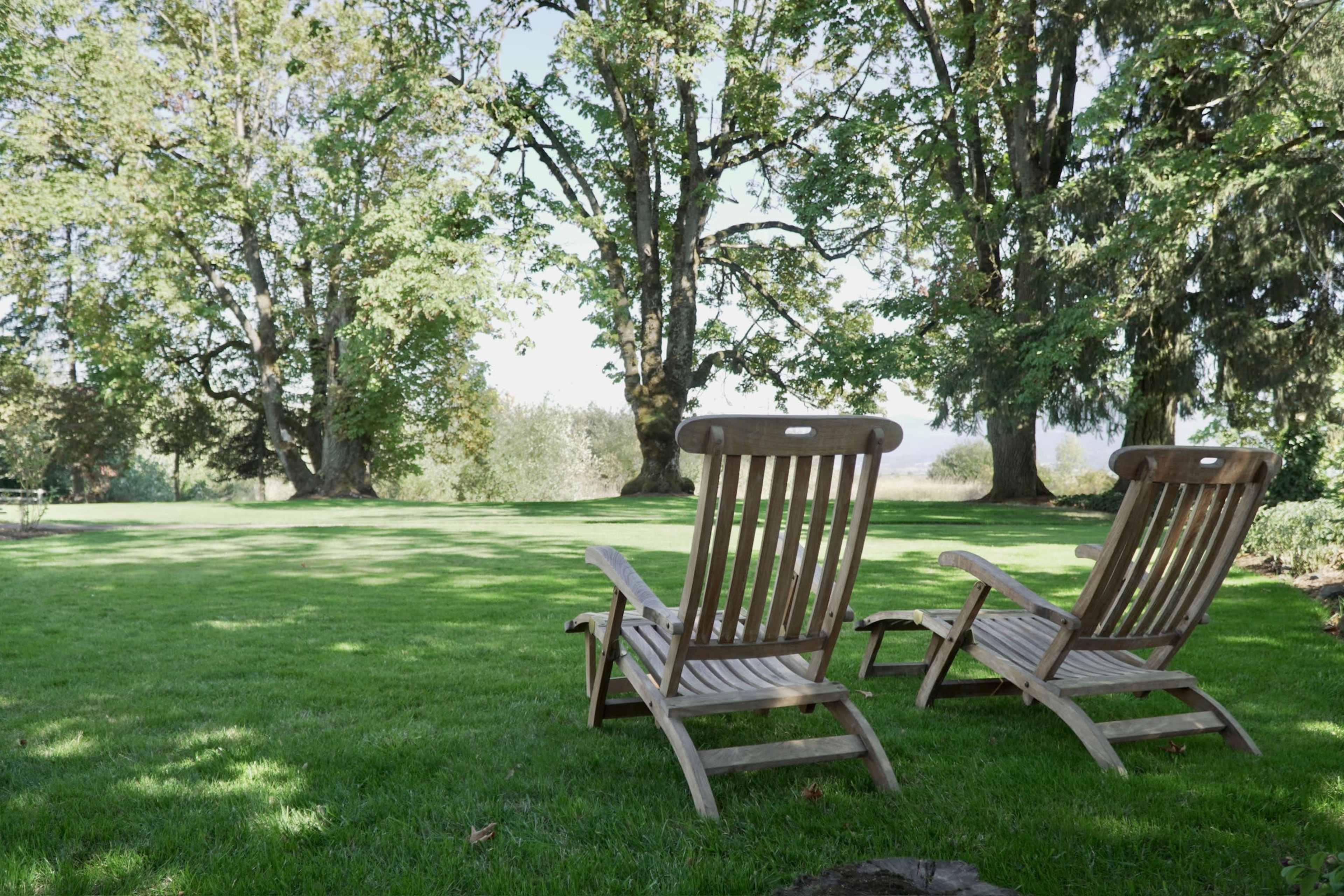 Two wooden lounge chairs are oriented towards a grassy area surrounded by large trees.