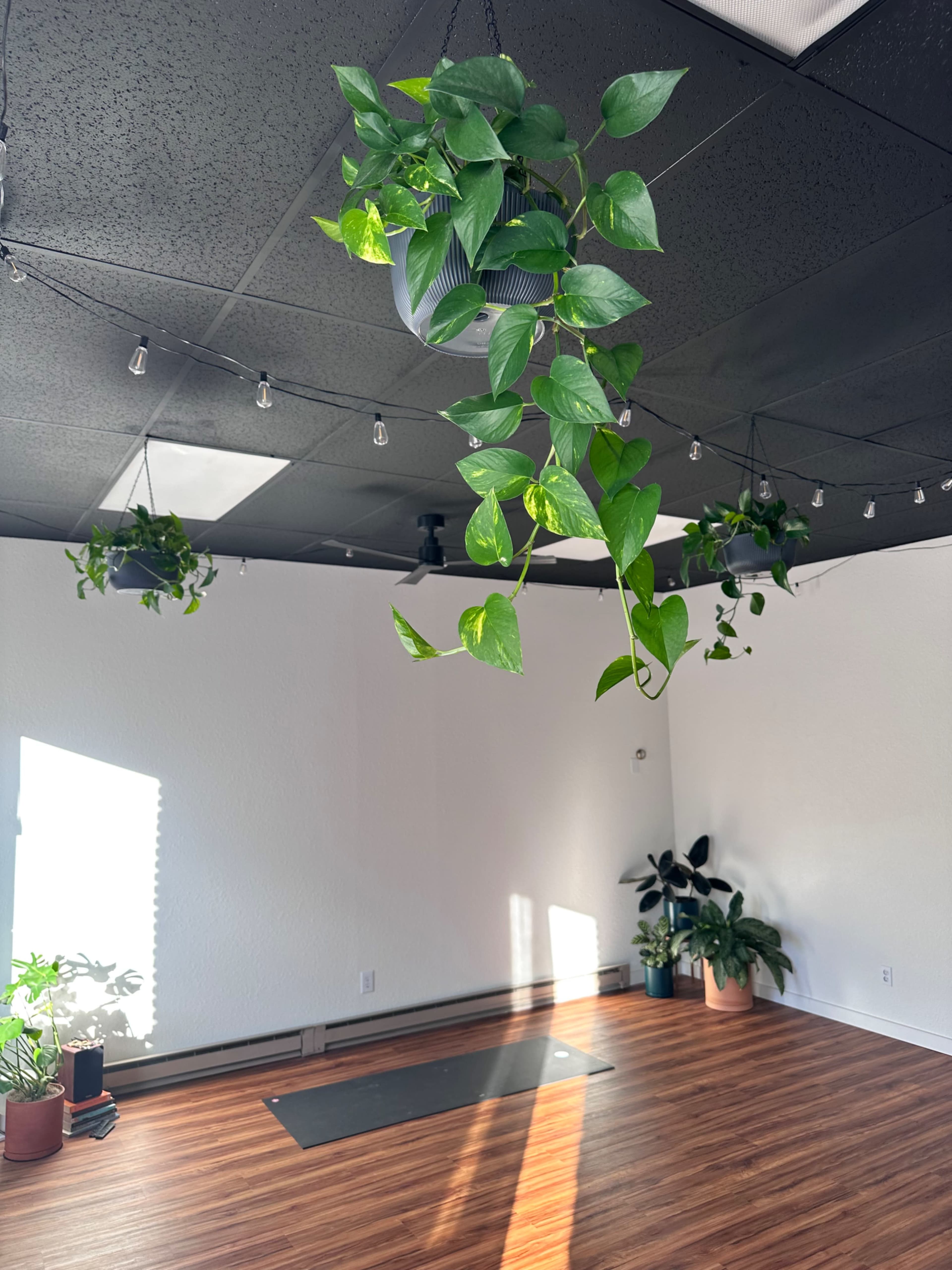 Bright and tranquil yoga studio Image in Anaconda, Anaconda, MT