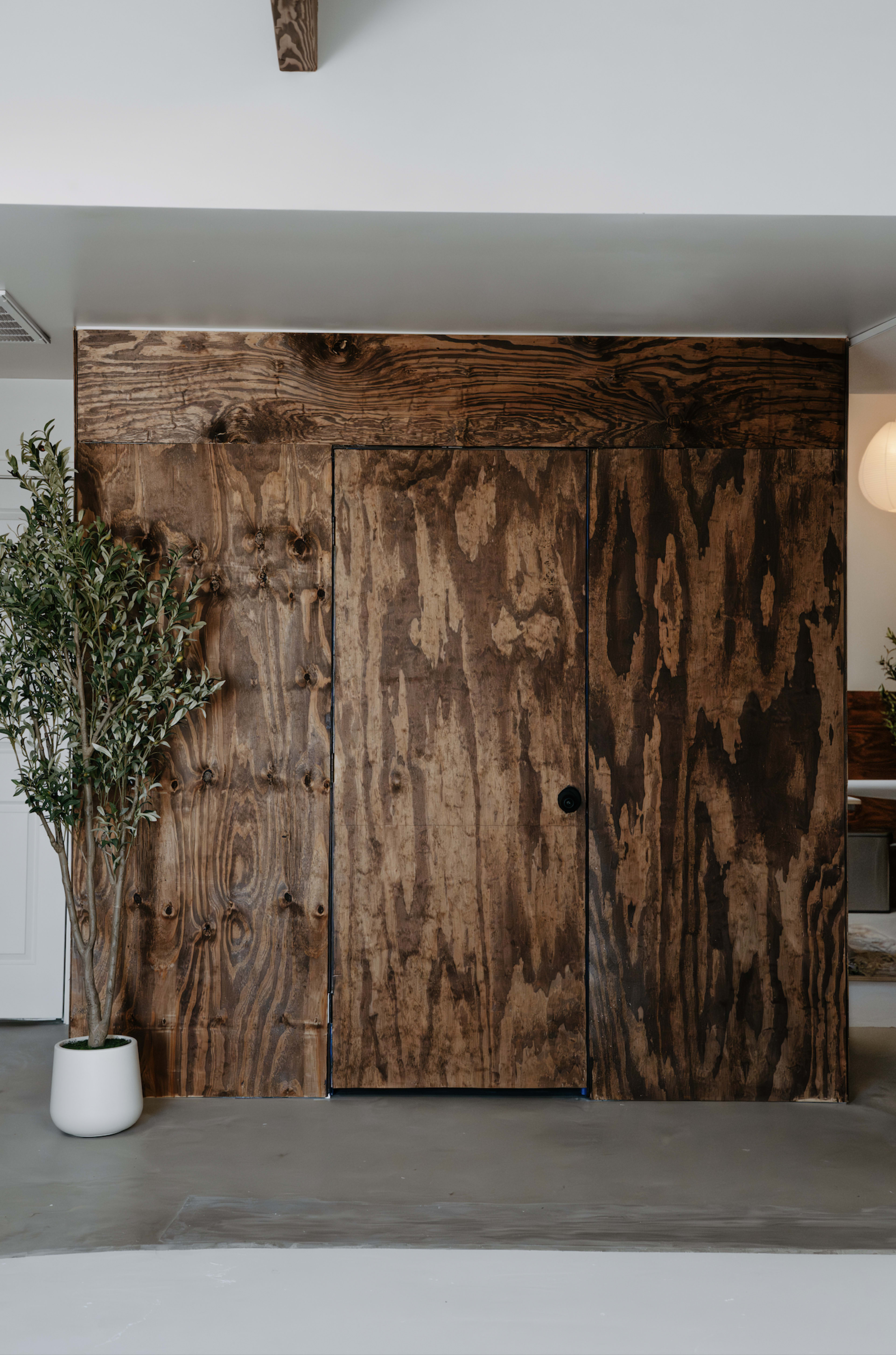 The image features a wooden door integrated into a textured wooden wall with a potted plant positioned nearby.