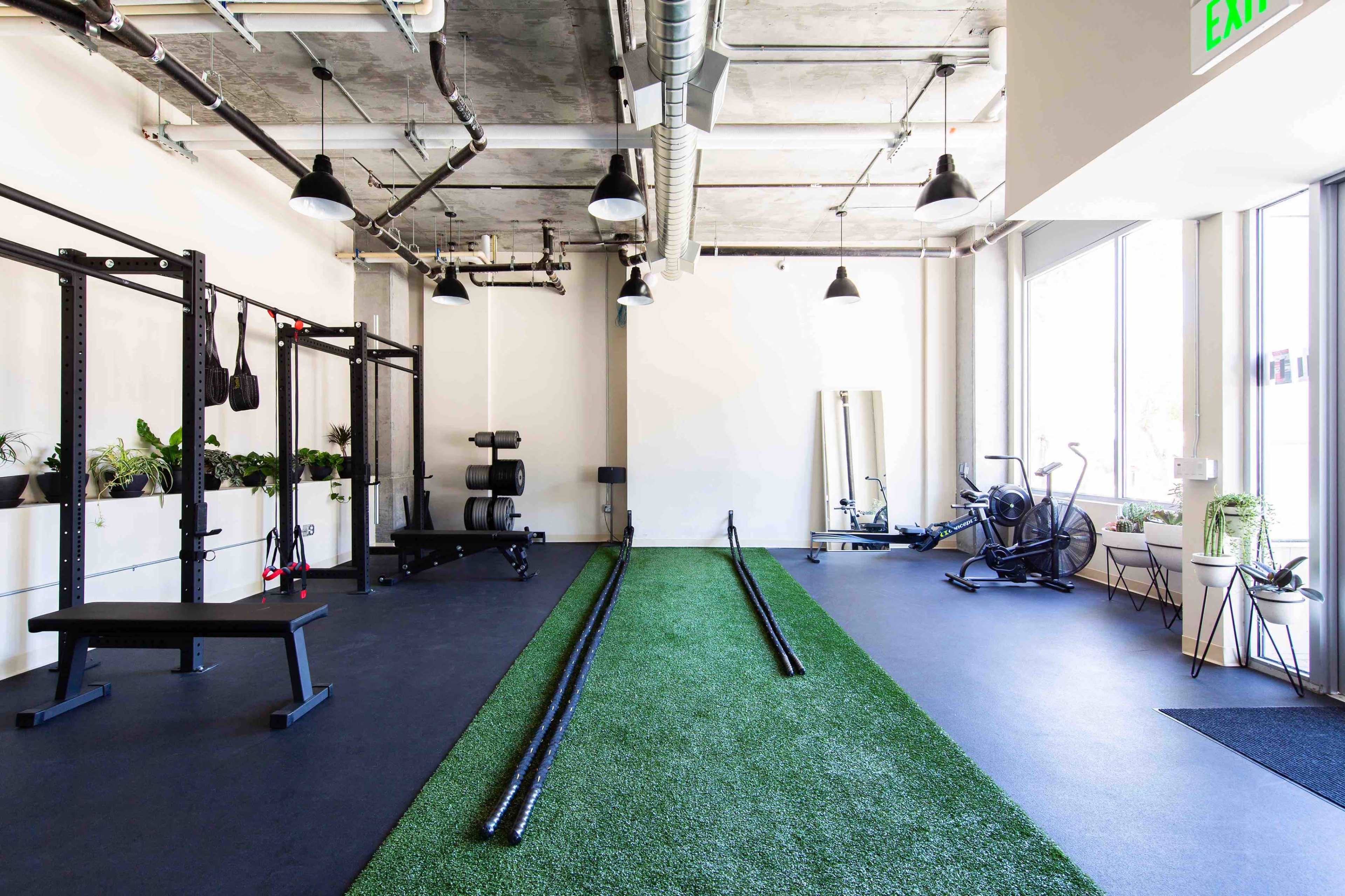 A modern gym interior with black flooring, green artificial turf, weightlifting equipment, and exercise machines along the walls.