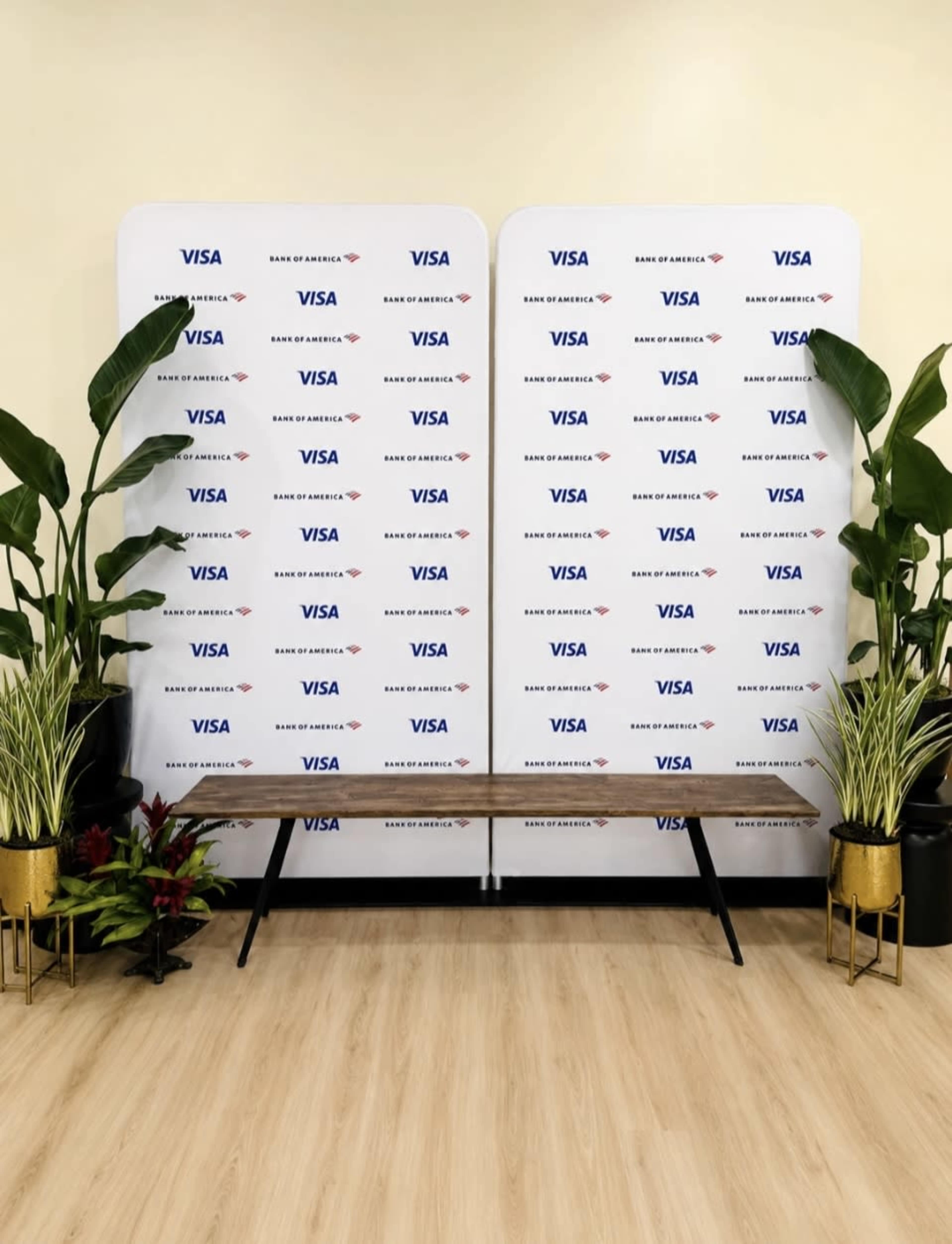 The image shows a promotional setup featuring a wooden bench in front of a backdrop with repeated Visa branding and decorative plants on either side.