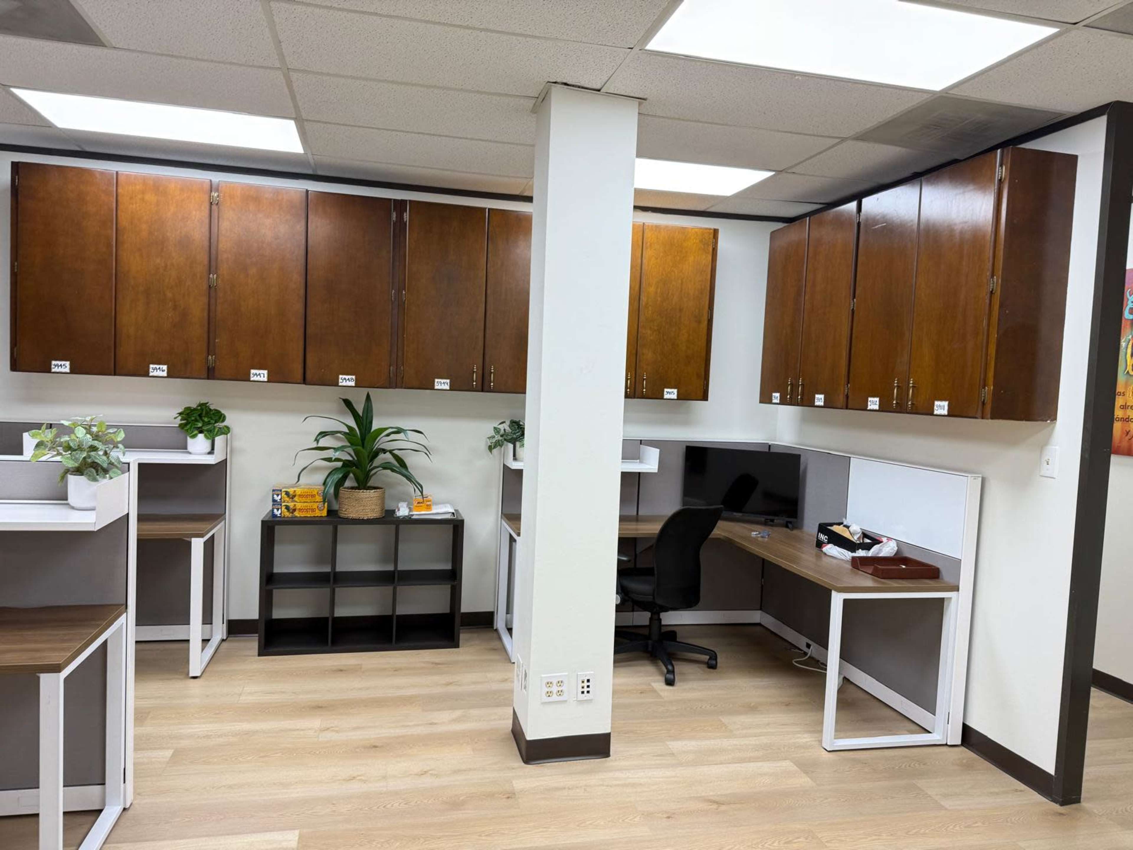 The image shows a modern office space with wooden cabinets, potted plants, a black office chair, and workstations arranged in a bright room.