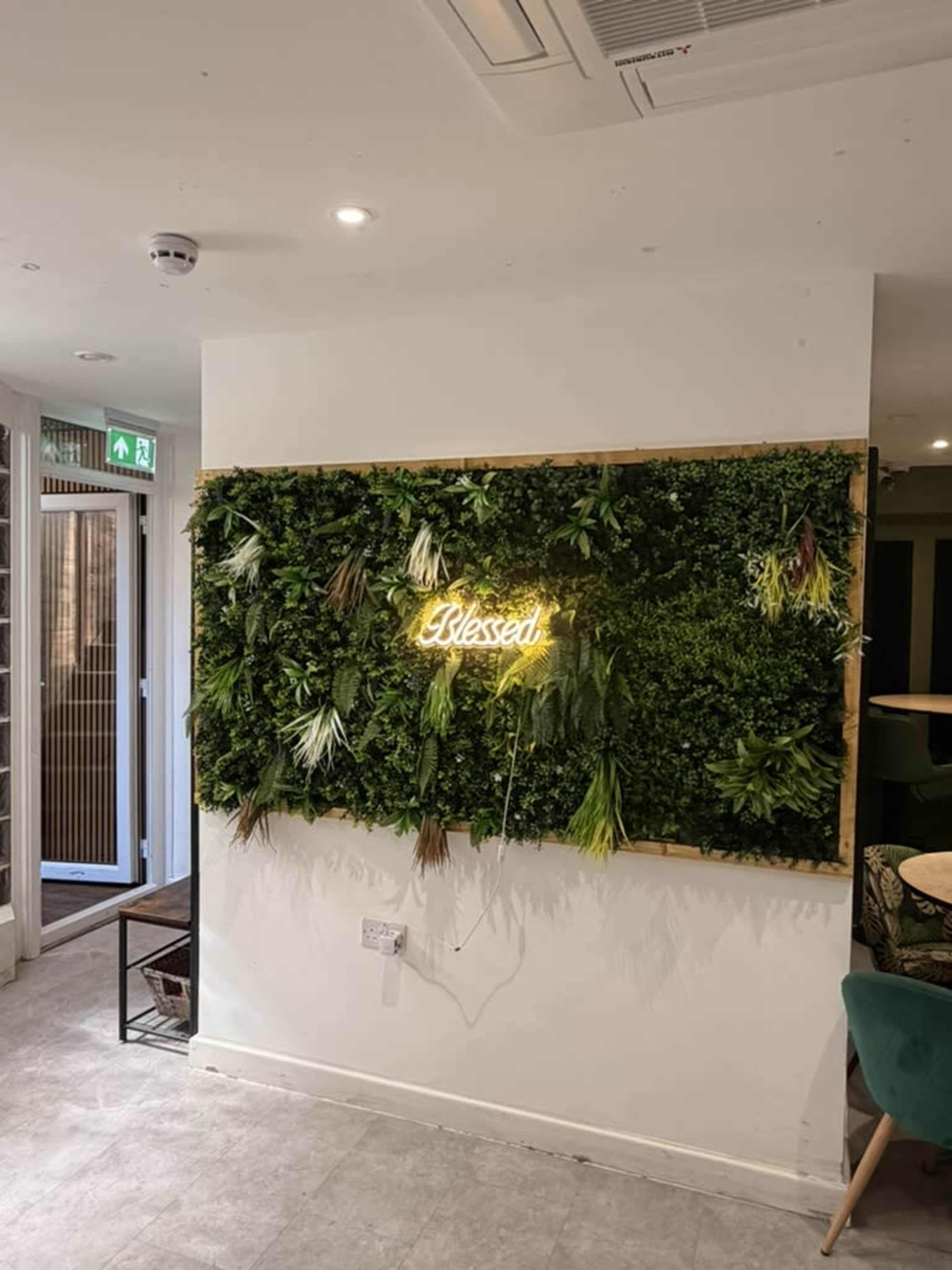 A wall covered with various green plants features a neon sign that says "Blessed."