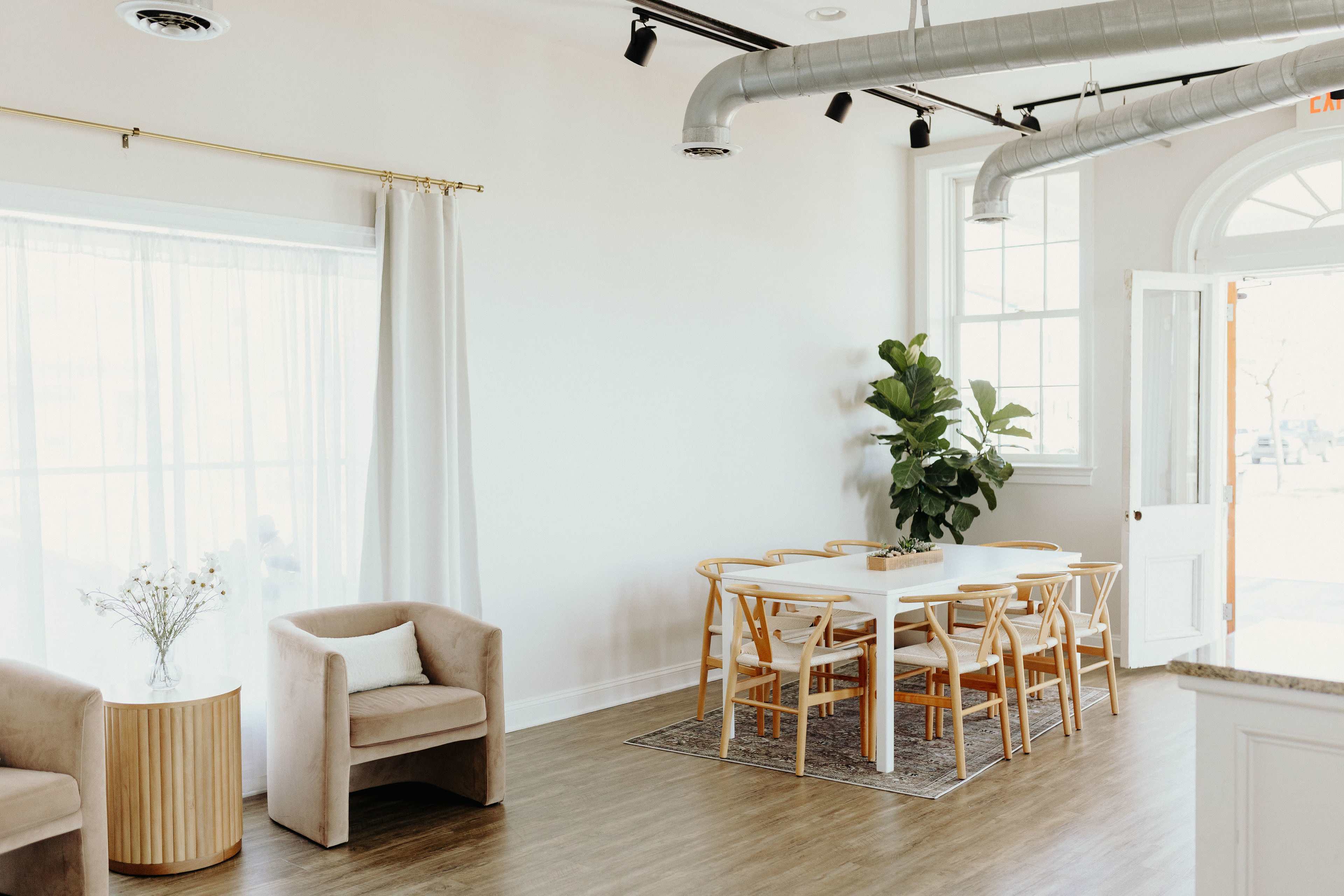 A bright, minimalistic room featuring a dining table surrounded by chairs, a pair of armchairs, and a large plant near a window.