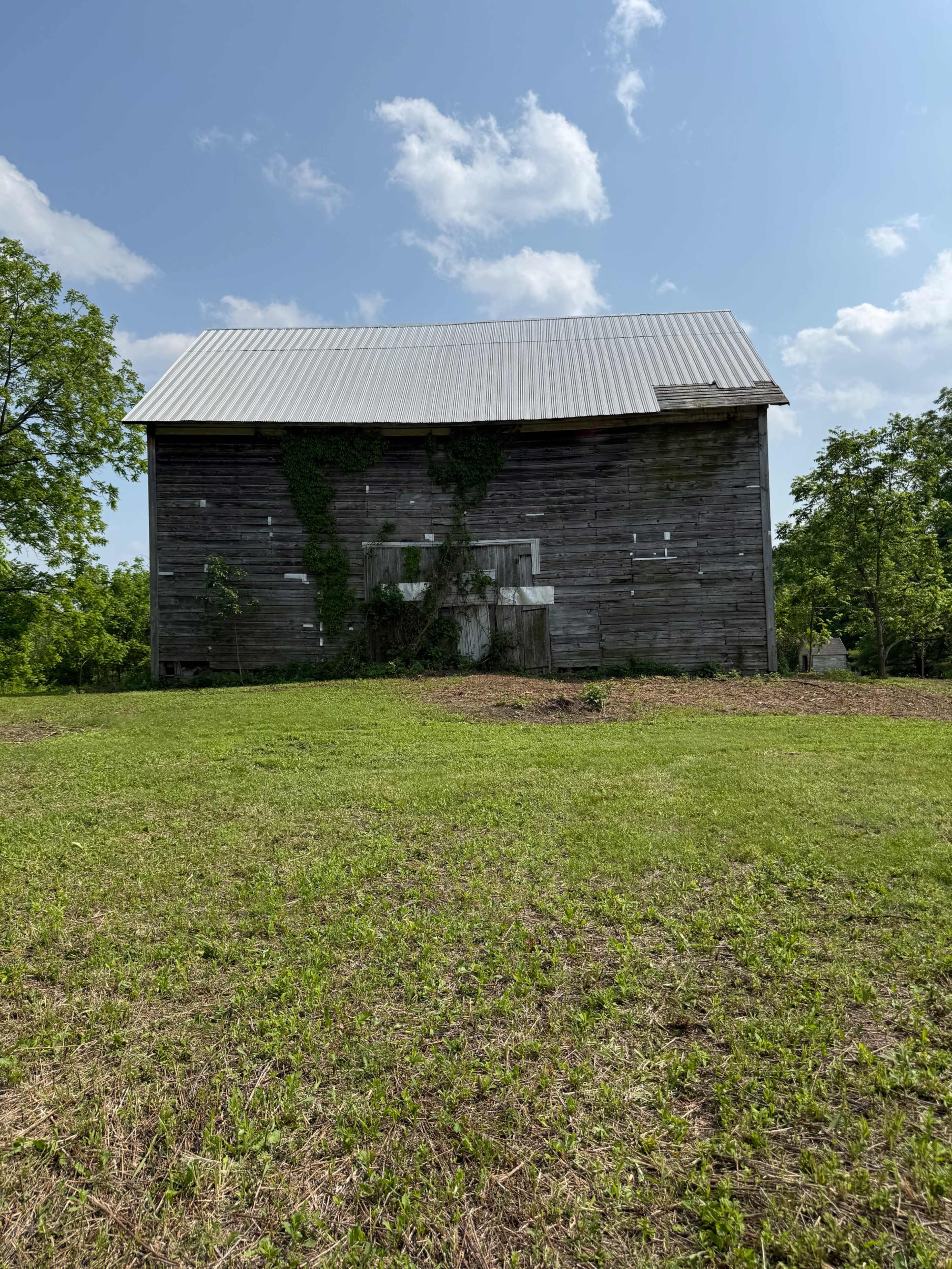 A weathered barn stands against a blue sky, partially covered in green vines with a grassy area in front.