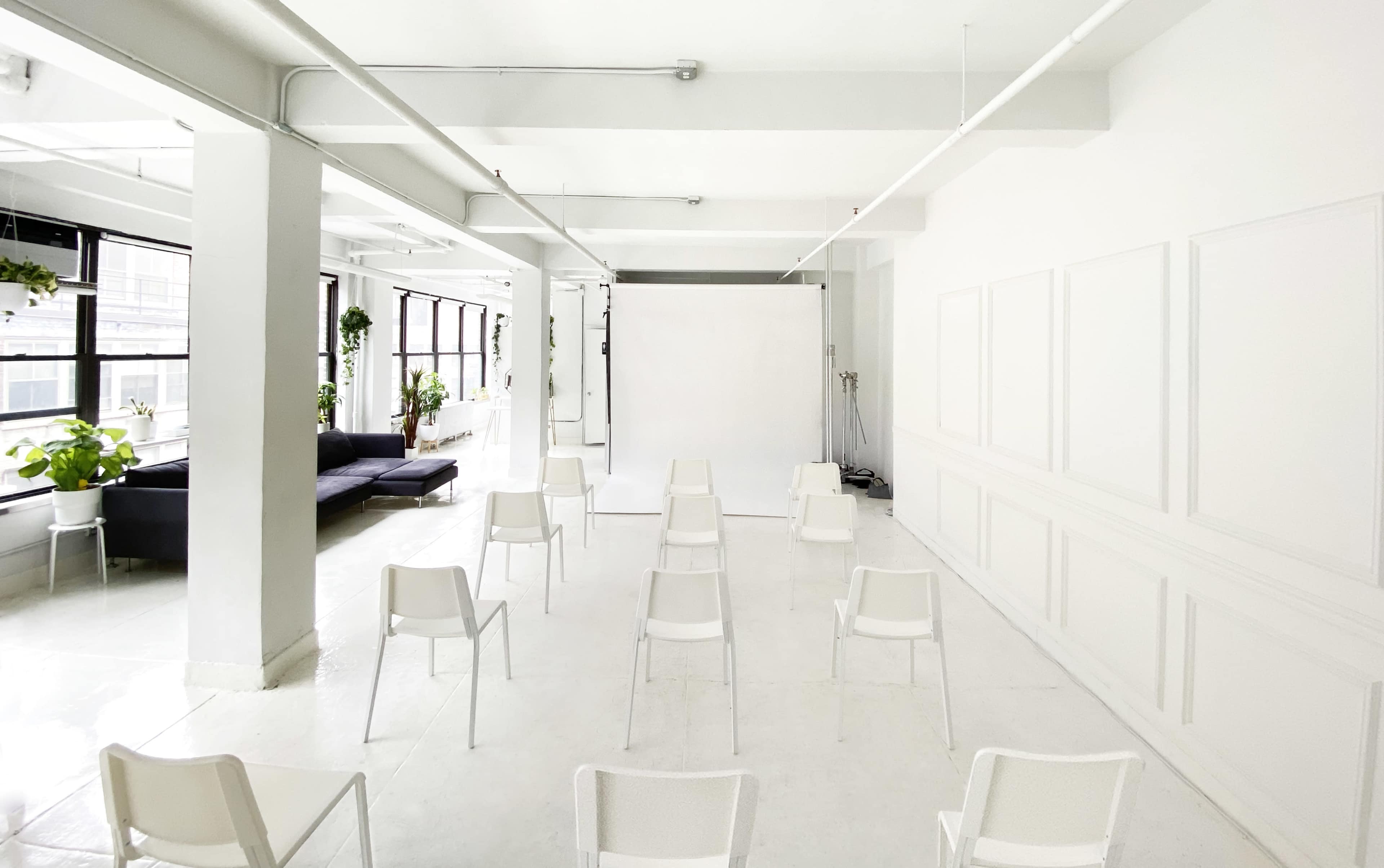An empty, bright studio with a row of white chairs arranged in front of a plain background and large windows lined with plants.