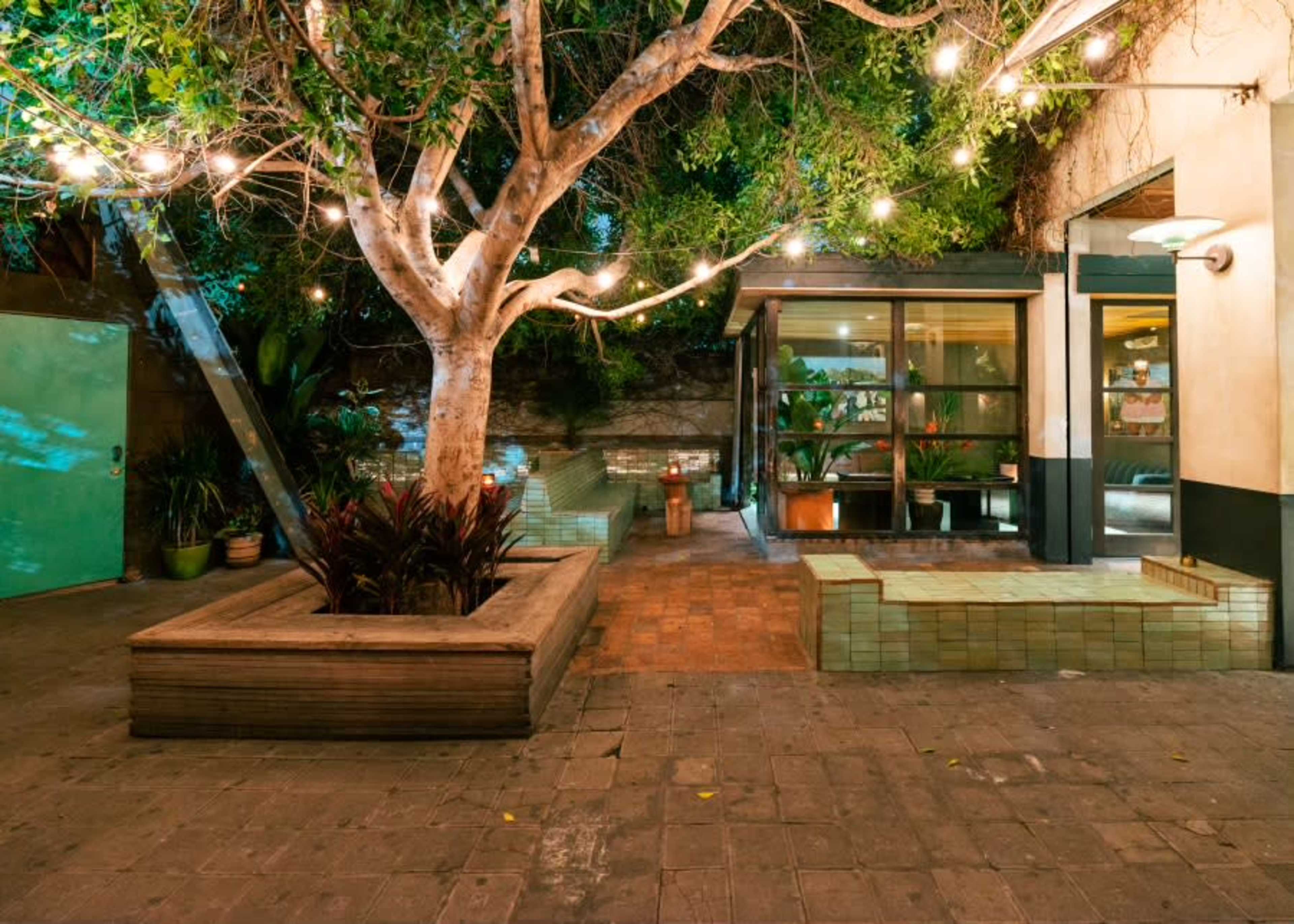 The scene features a courtyard with a large tree, string lights overhead, and a glass structure surrounded by green plants and tiled seating areas.