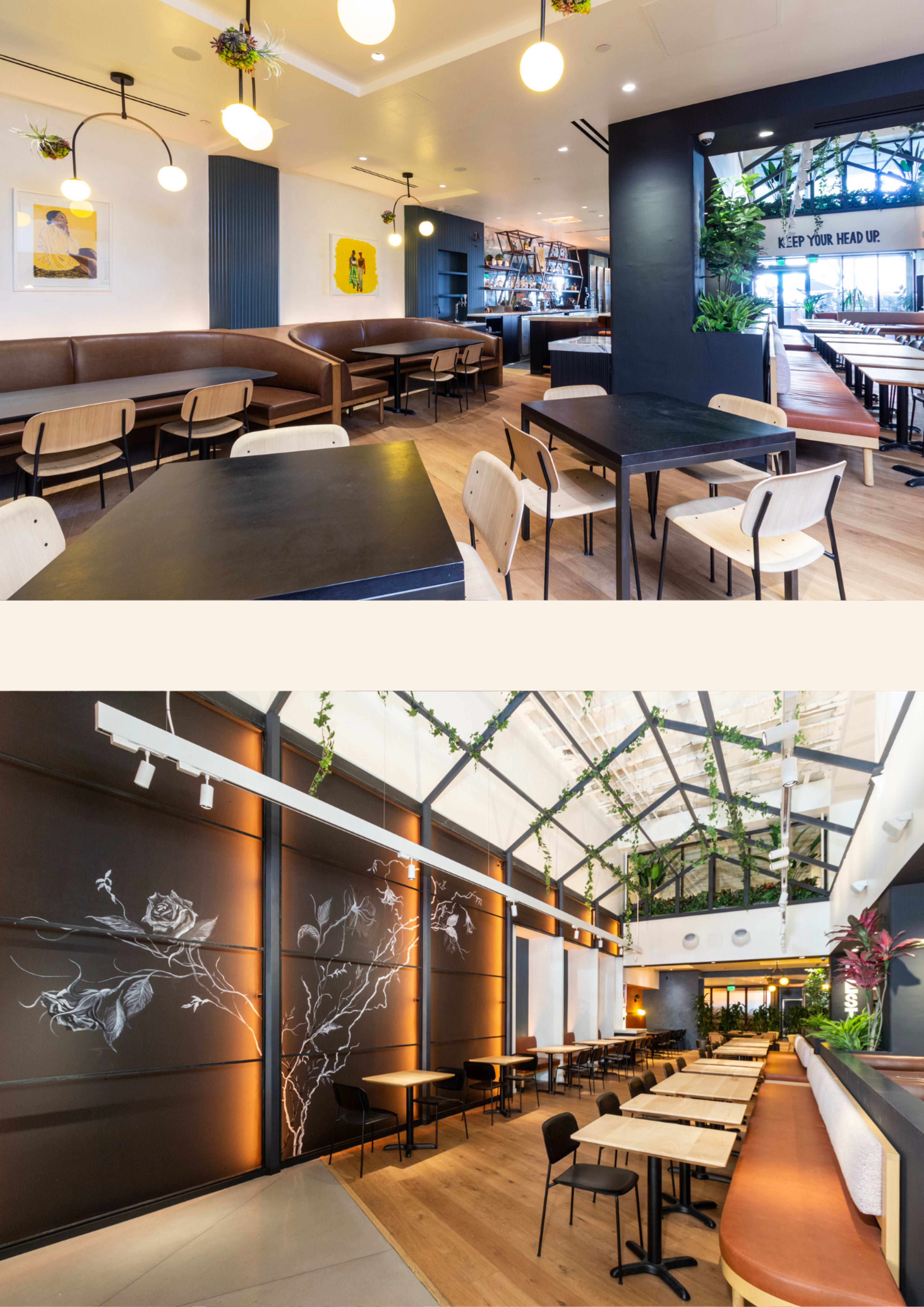 The image shows a modern restaurant interior featuring a mix of booth and table seating, with plants hanging from the ceiling and large windows allowing natural light to illuminate the space.