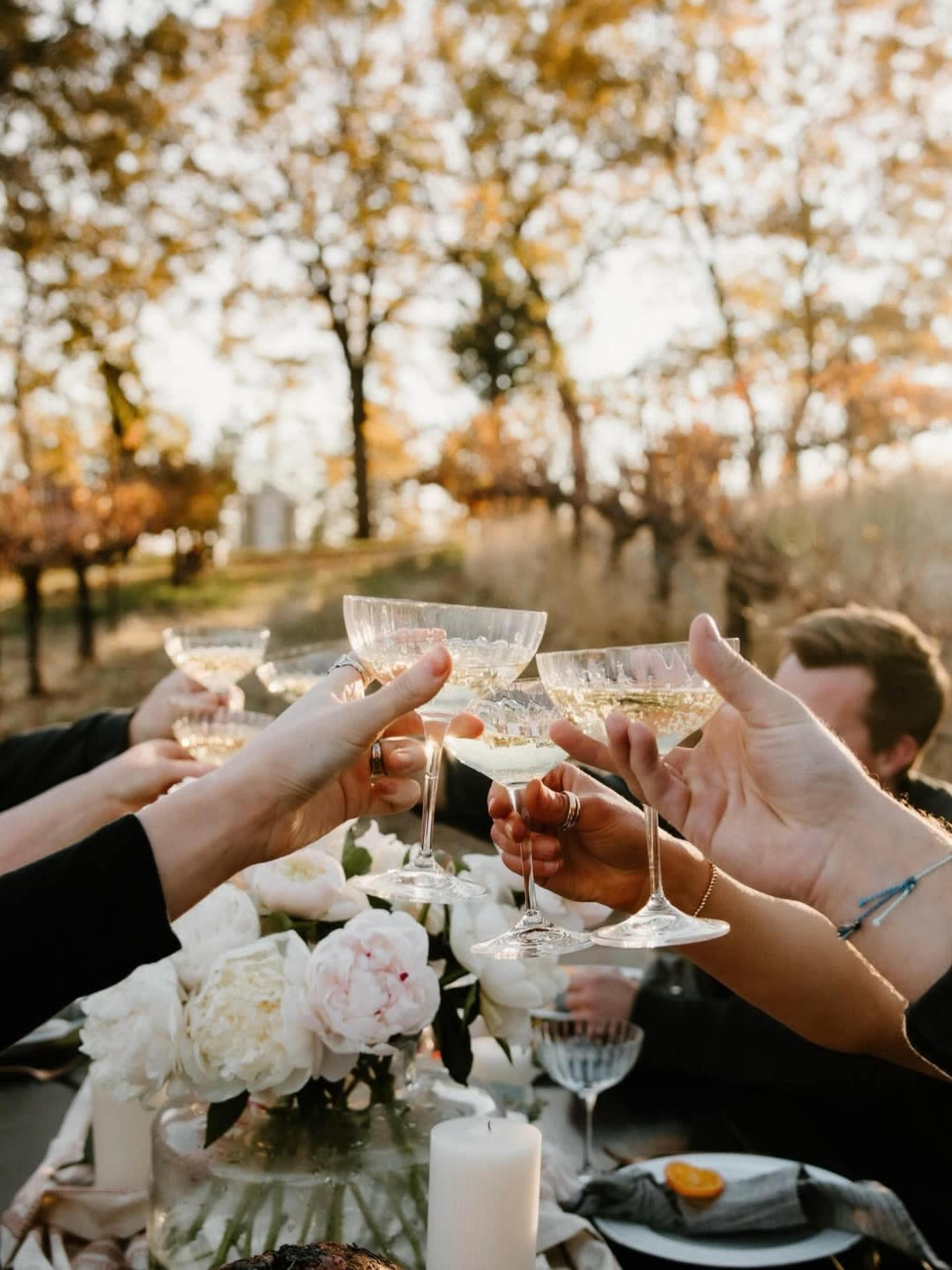 Vineyards With Incredible Mountain Views Image in , Grass Valley, CA