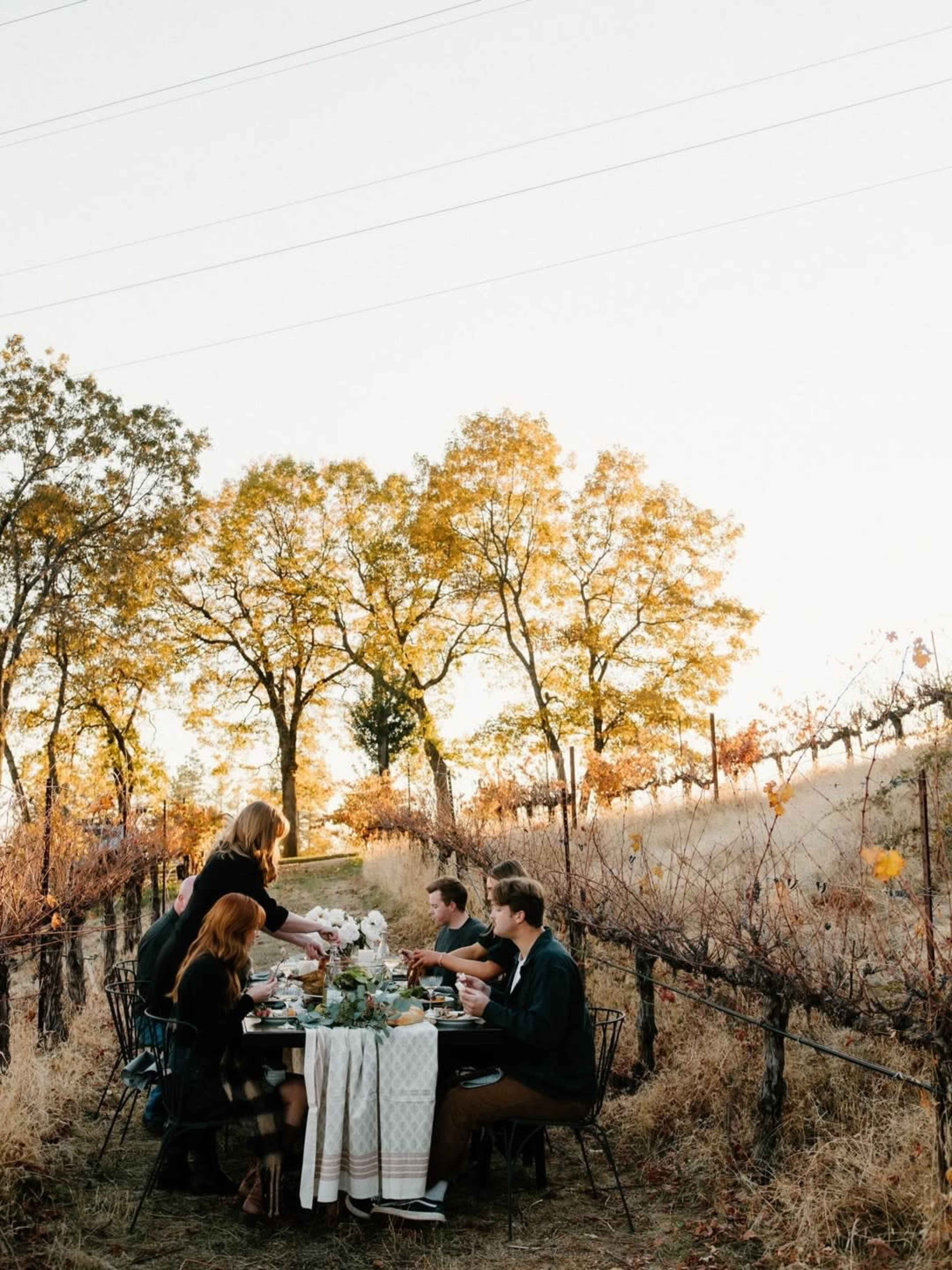 Vineyards With Incredible Mountain Views Image in , Grass Valley, CA