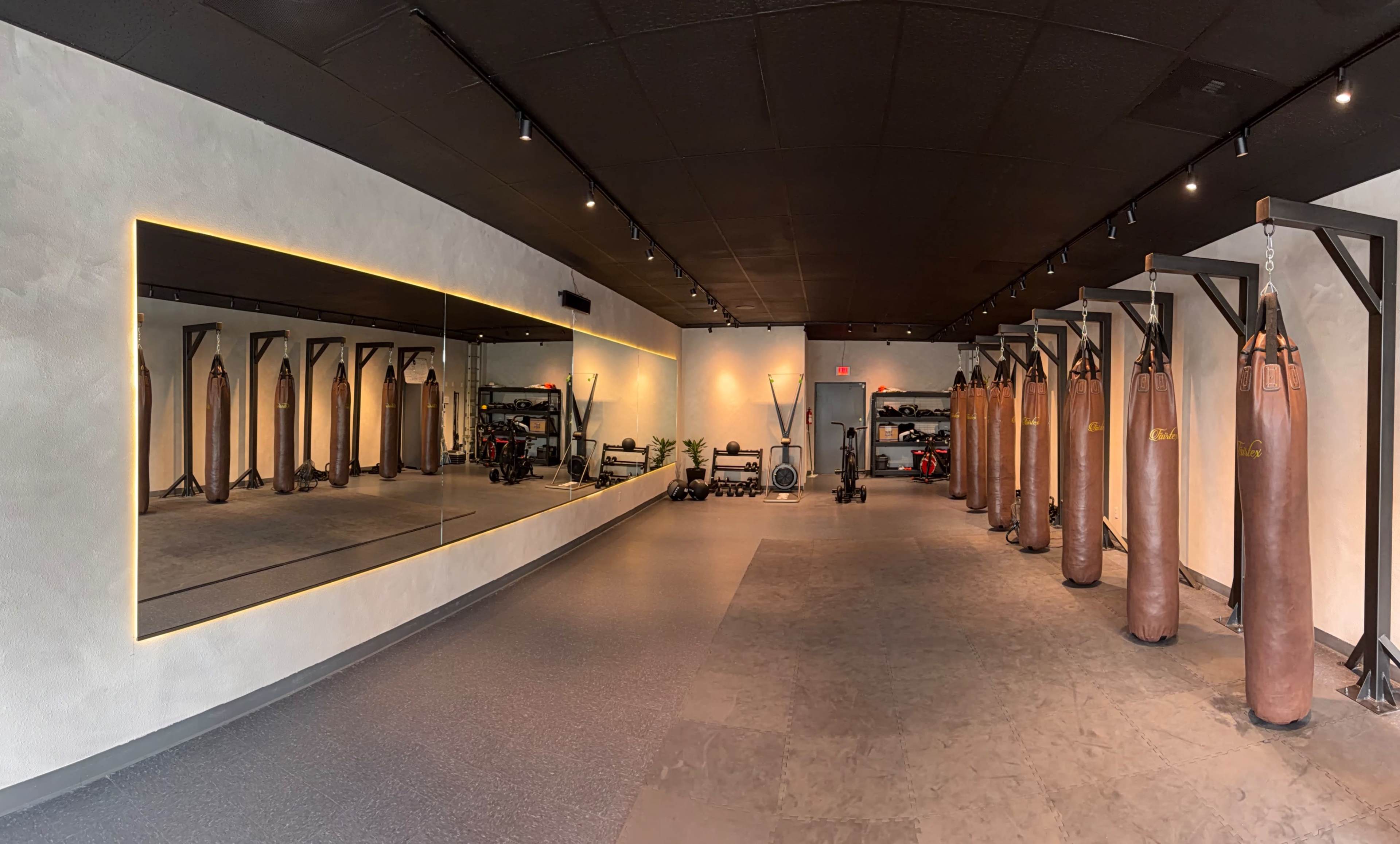 The image shows a boxing gym featuring several punching bags lined up against the wall, with a large mirror reflecting the workout area.