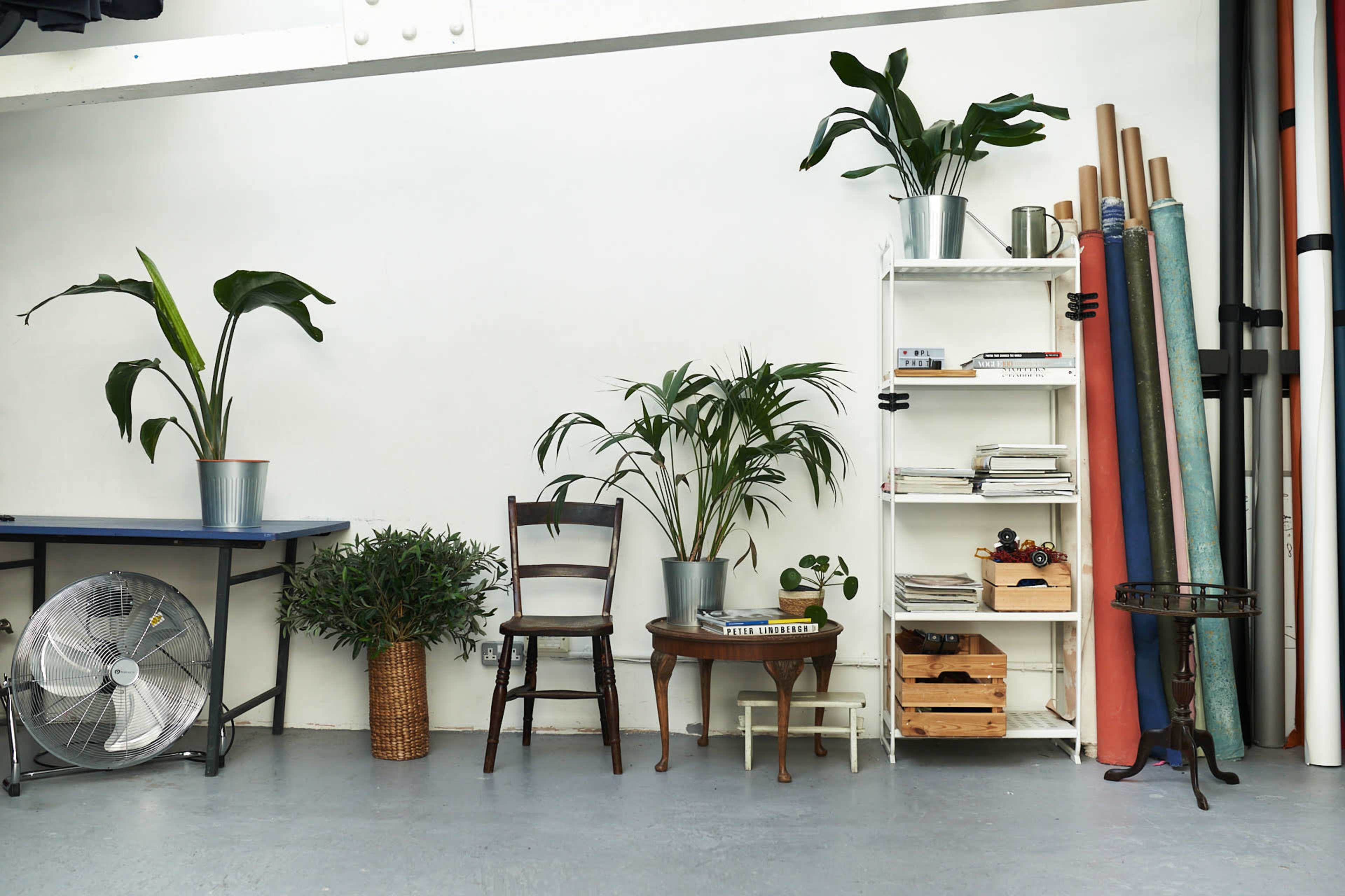 The image depicts a room with a blue table, two chairs, a small round table, potted plants, a bookshelf with books and magazines, and rolls of colored materials against a wall.